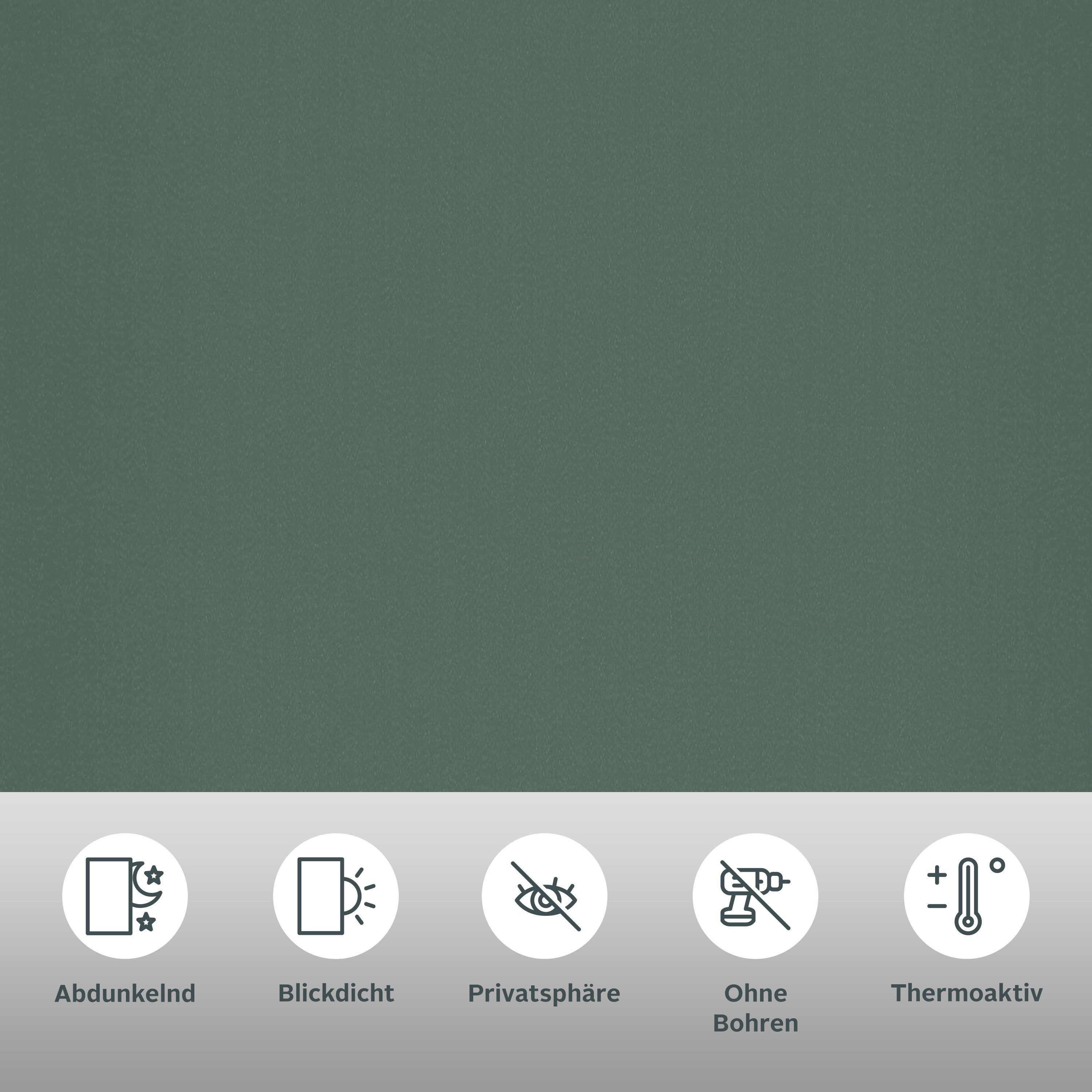 Seitenzugrollo THEMSE, OTTO home, abdunkelnd, ohne Bohren, freihängend, Klemmfix, Bestseller mit über 3000 4,5-Sterne-Bewertungen, Klemmträger