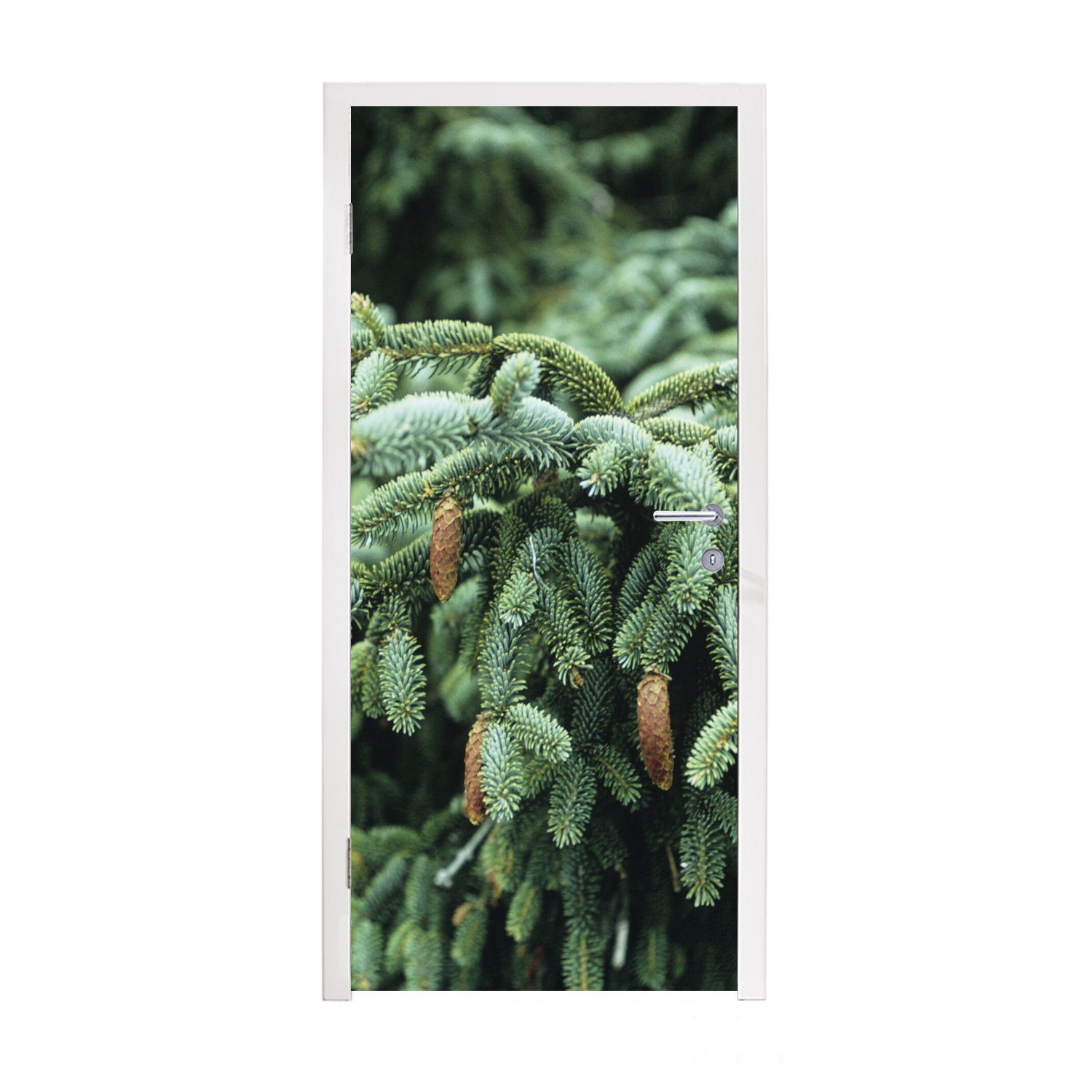 MuchoWow Türtapete Eine Nahaufnahme cm Fototapete eines St), in (1 den, einem Türaufkleber, Wald Weihnachtsbaums bedruckt, 75x205 für Tür, in Matt