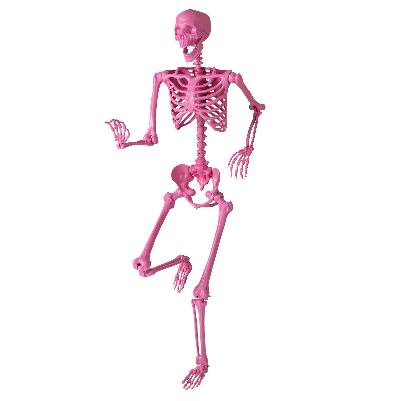 COSTWAY Dekoobjekt, Halloween Deko, 158 cm Skelett lebensgroß