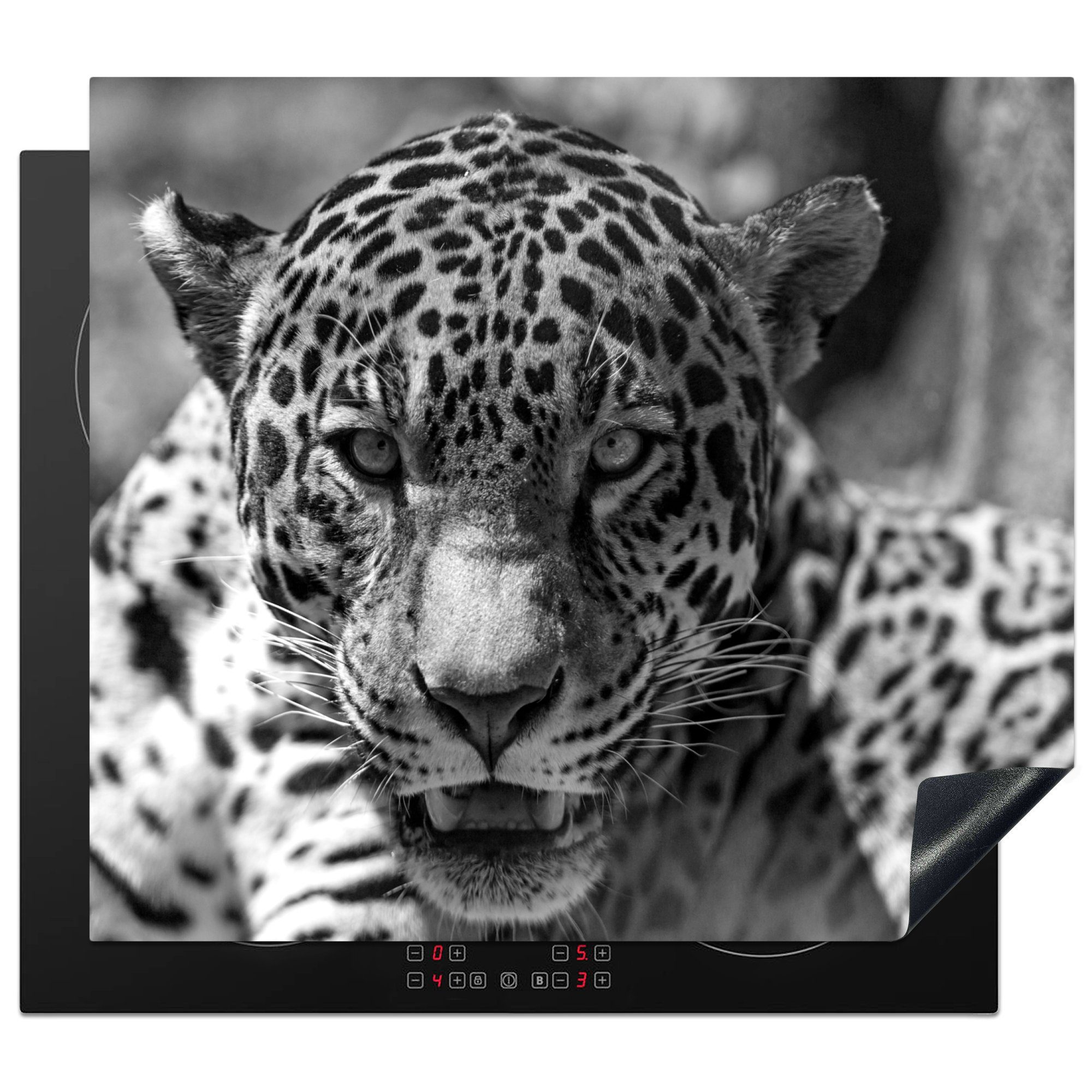 MuchoWow Herdblende-/Abdeckplatte Porträt eines weiblichen Jaguars mit leicht geöffnetem Maul - schwarz, Vinyl, (1 tlg), 60x52 cm, Mobile Arbeitsfläche nutzbar, Ceranfeldabdeckung
