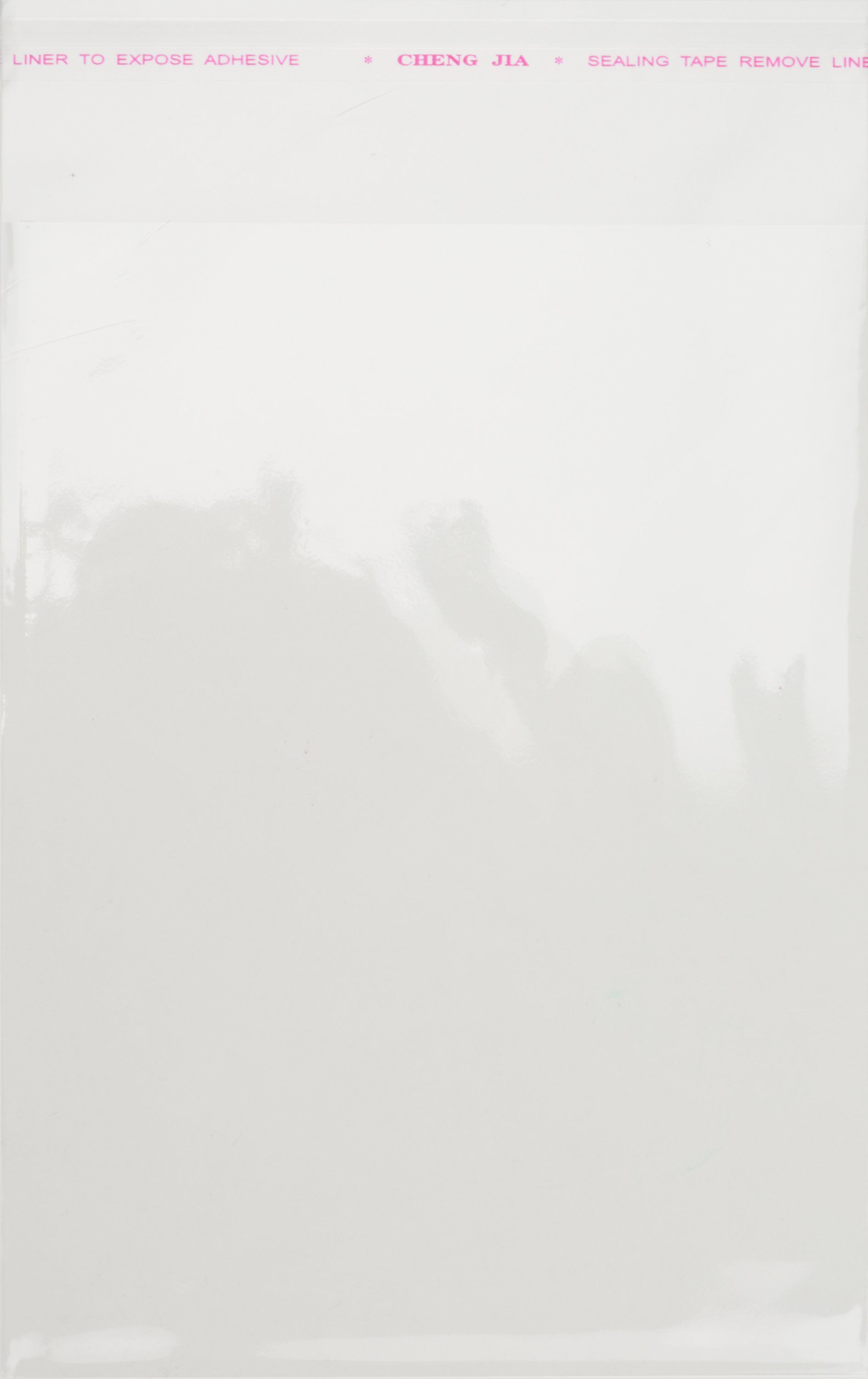 VBS Schutz-Set Schutzhüllen für Karten, C6, 12 x 16,2 cm