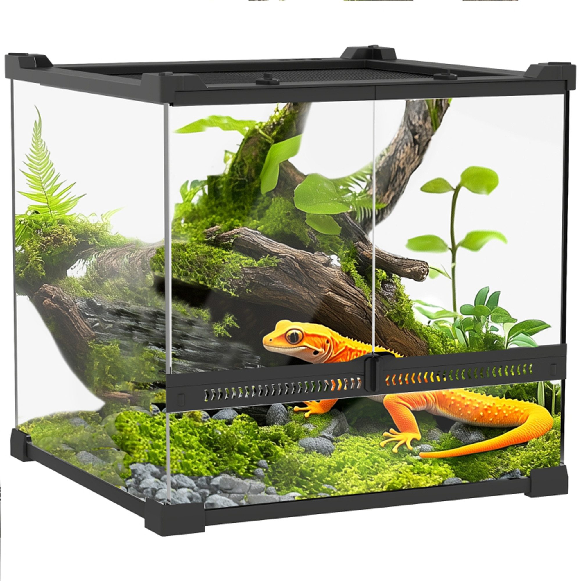 MC Star Terrarium Glas-Terrarium für Reptilien, erhöhter & wasserdichter Boden