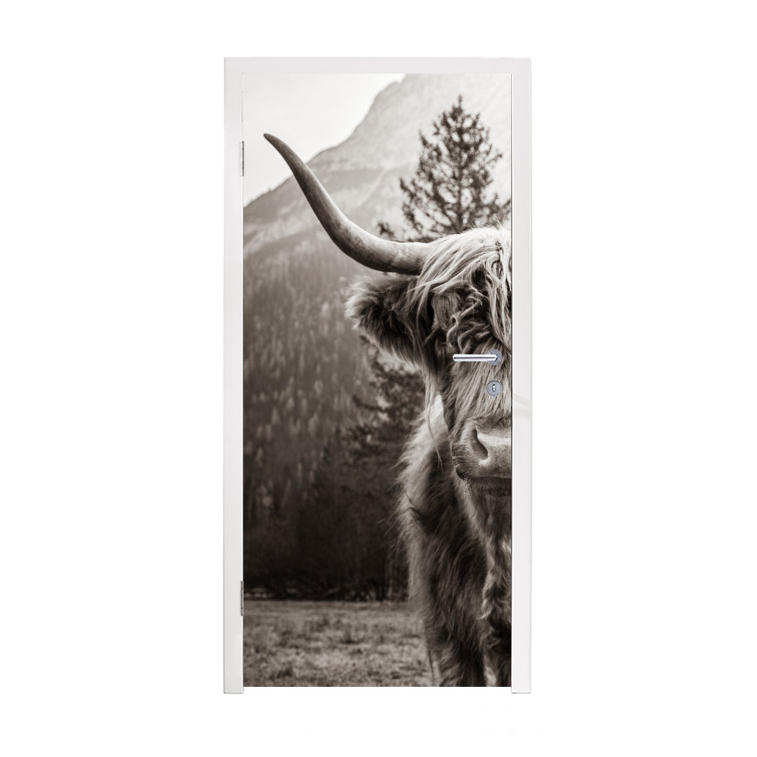MuchoWow Türtapete Scottish Highlander - Stier - Schwarz - Weiß, Matt, bedruckt, (1 St), Fototapete für Tür, Türaufkleber, 75x205 cm