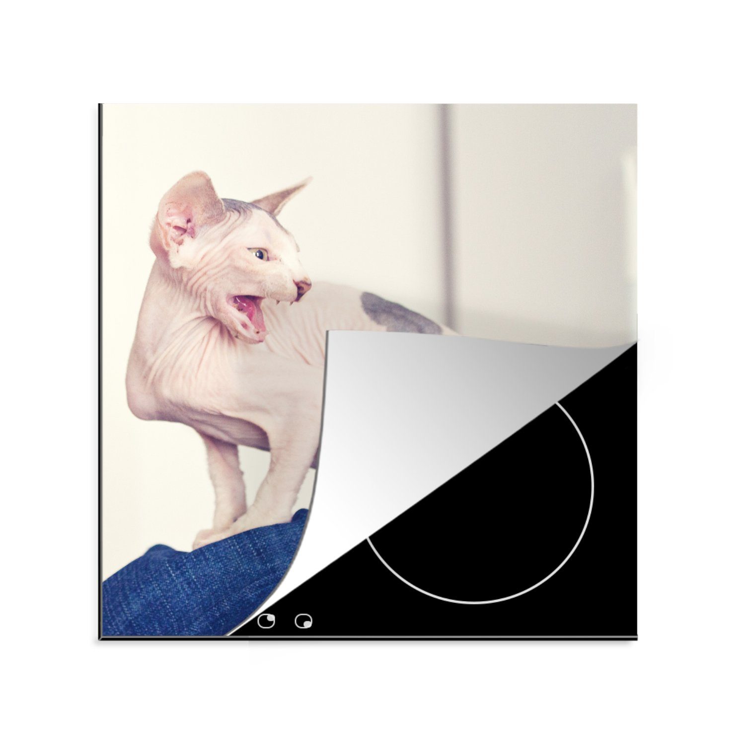 MuchoWow Herdblende-/Abdeckplatte Gefleckte Sphynx-Katze, Vinyl, (1 tlg), 78x78 cm, Ceranfeldabdeckung, Arbeitsplatte für küche