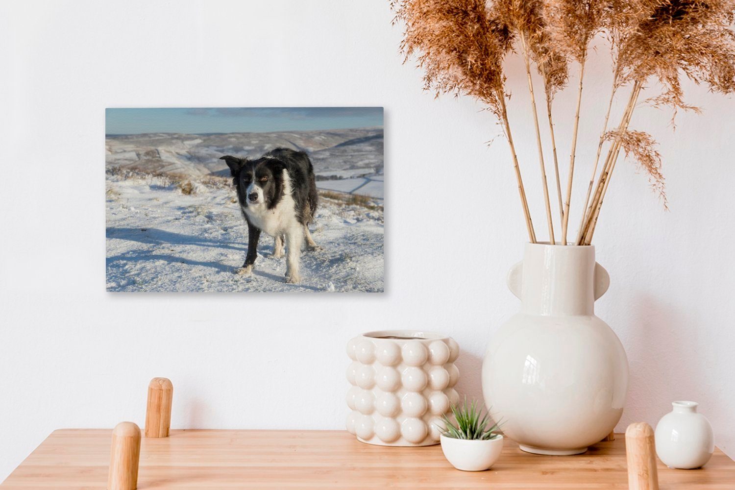 OneMillionCanvasses® Leinwandbild Ein Border Collie Aufhängefertig, Schneehügeln, den (1 Wanddeko, Wandbild in St), cm 30x20 Leinwandbilder