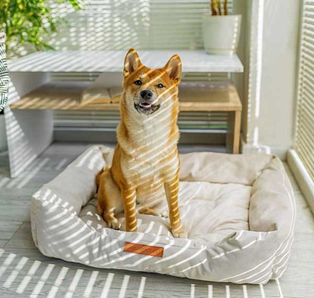 Thumbnail - Animood Tierbett Milo, Velour / Cordura 100% Polyester, 61x76x15cm Farbe wählbar, nur für den Innenbereich, waschbar bei...