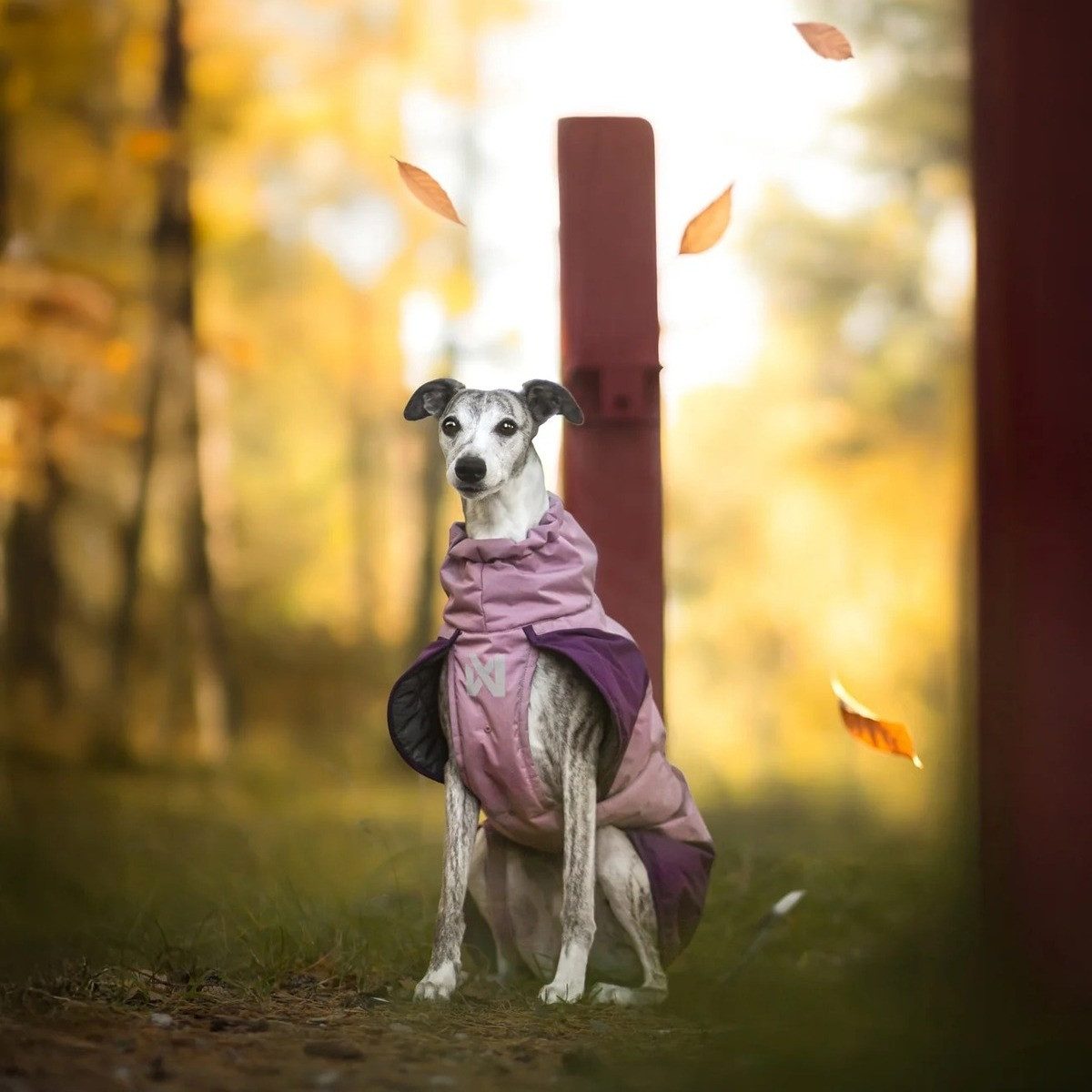 Non-stop dogwear Hundemantel Winterjacke Glacier Dog Jacket 3.0 purple