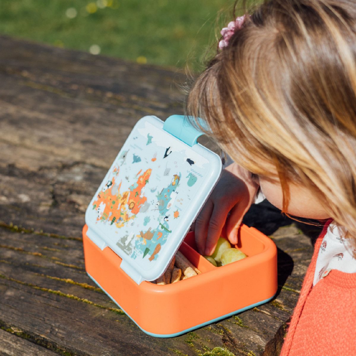 Quokkabottle Lunchbox Twist Kids Brotdose Doppelwand Kinder Lunchbox 4-Fächer, Vier praktische Fächer