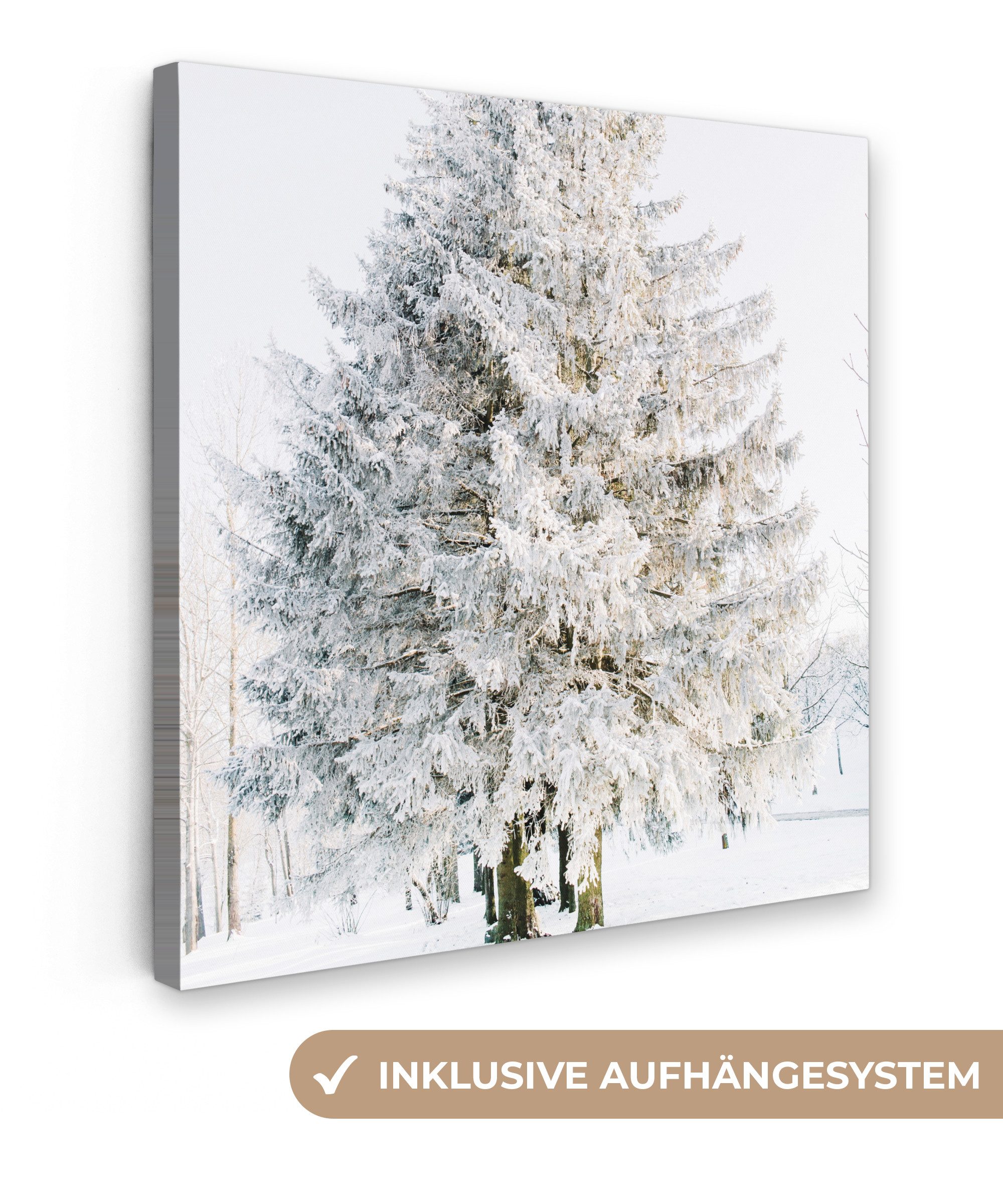 OneMillionCanvasses® Leinwandbild Winter - Baum - Schnee - Kiefer - Weiß, Fotodruck (1 St), Wandbild, Deko Schlafzimmer Wohnzimmer Flur 20x20 cm