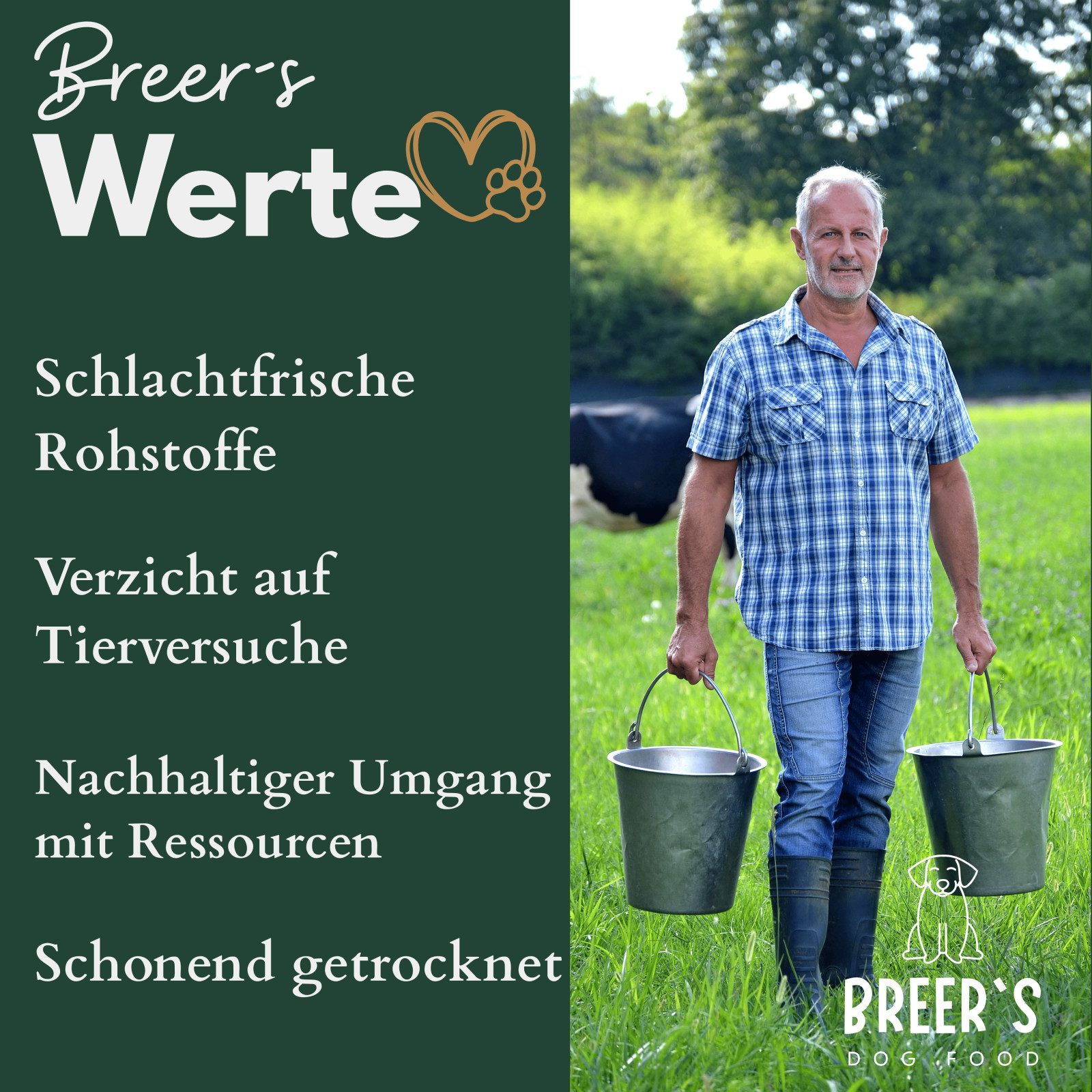 Breers Pet Food Rinderkopfhautplatten getrocknet 5 kg Kausnack Hundeleckerlie, Einzelfuttermittel für Hunde für: Hunde, Harter Kauartikel, Leckerli getreidefrei, Hundesnack zuckerfrei