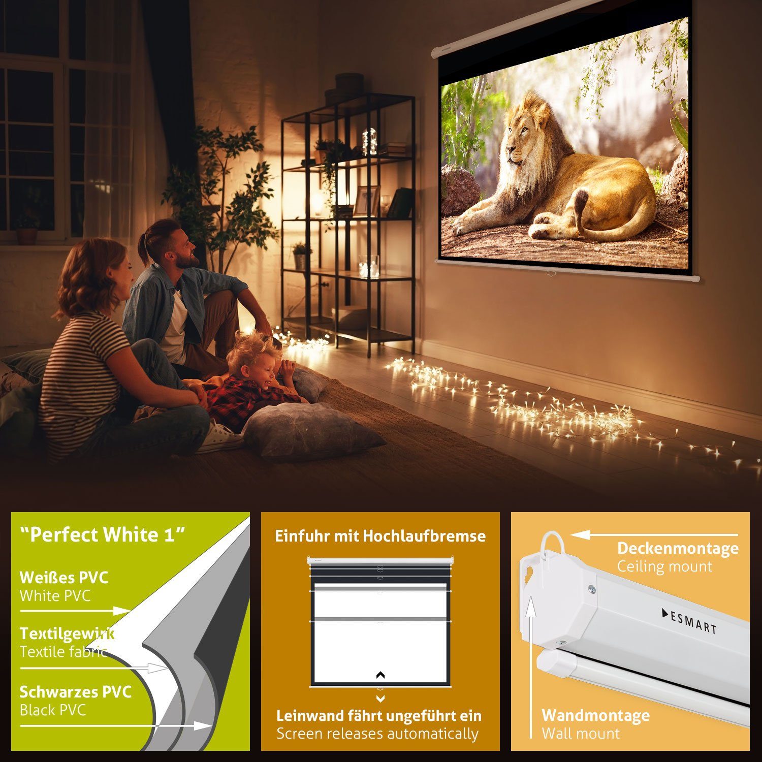 ESMART ESMART Germany Rollo Leinwand Rolloleinwand (Economy EXR)