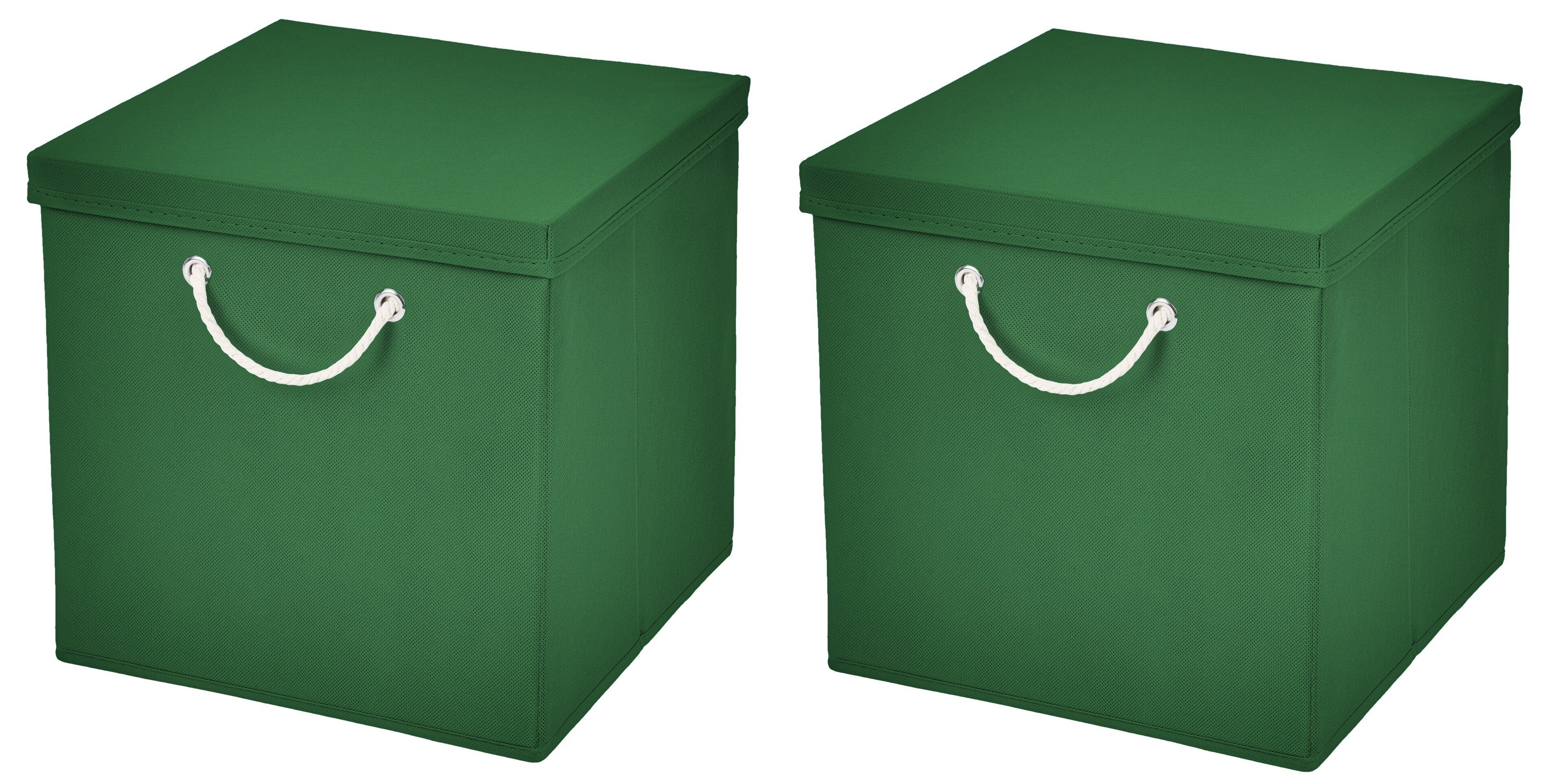 StickandShine Faltbox 2 Stück 30x30 cm perfekt für KALLAX – 19 trendige Farben zur Auswahl