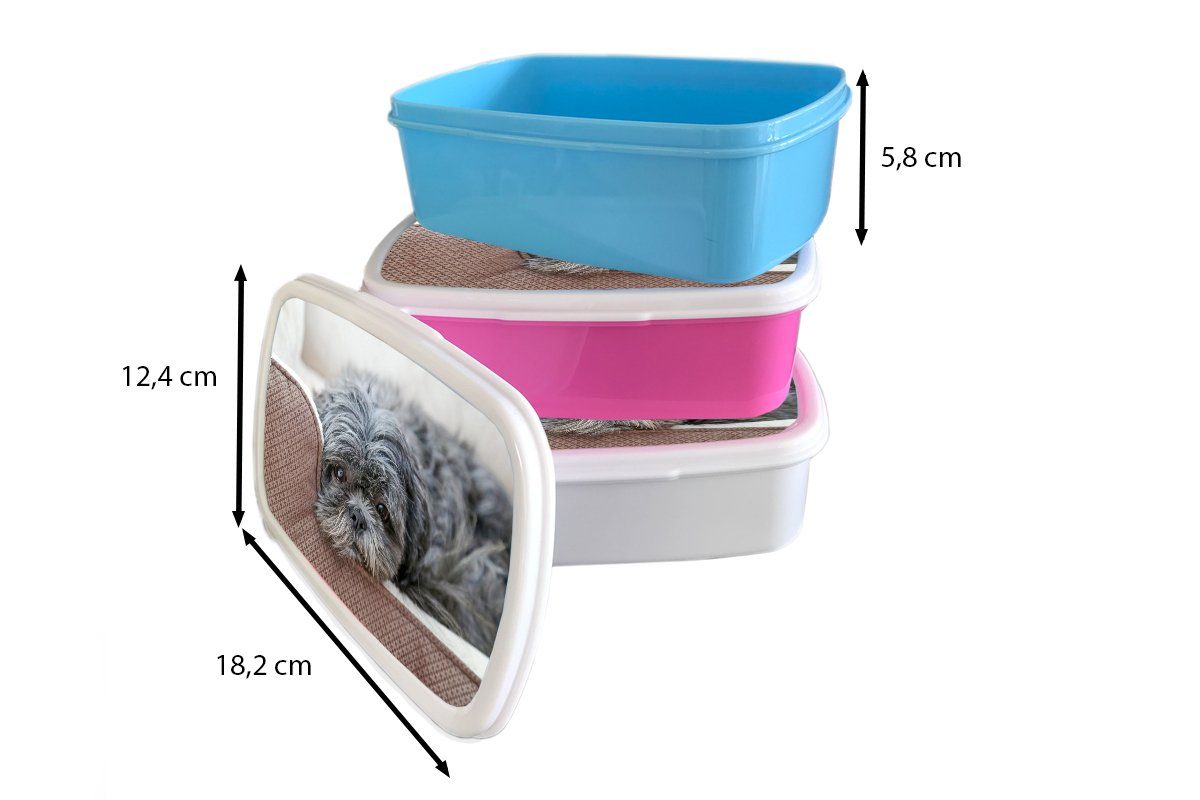 Snackbox, (2-tlg), Tzu-Hündin auf Kunststoff, Brotdose Erwachsene, Bett für ihrem Kinder, rosa MuchoWow Lunchbox Shih Kunststoff ruhend, Brotbox Mädchen,