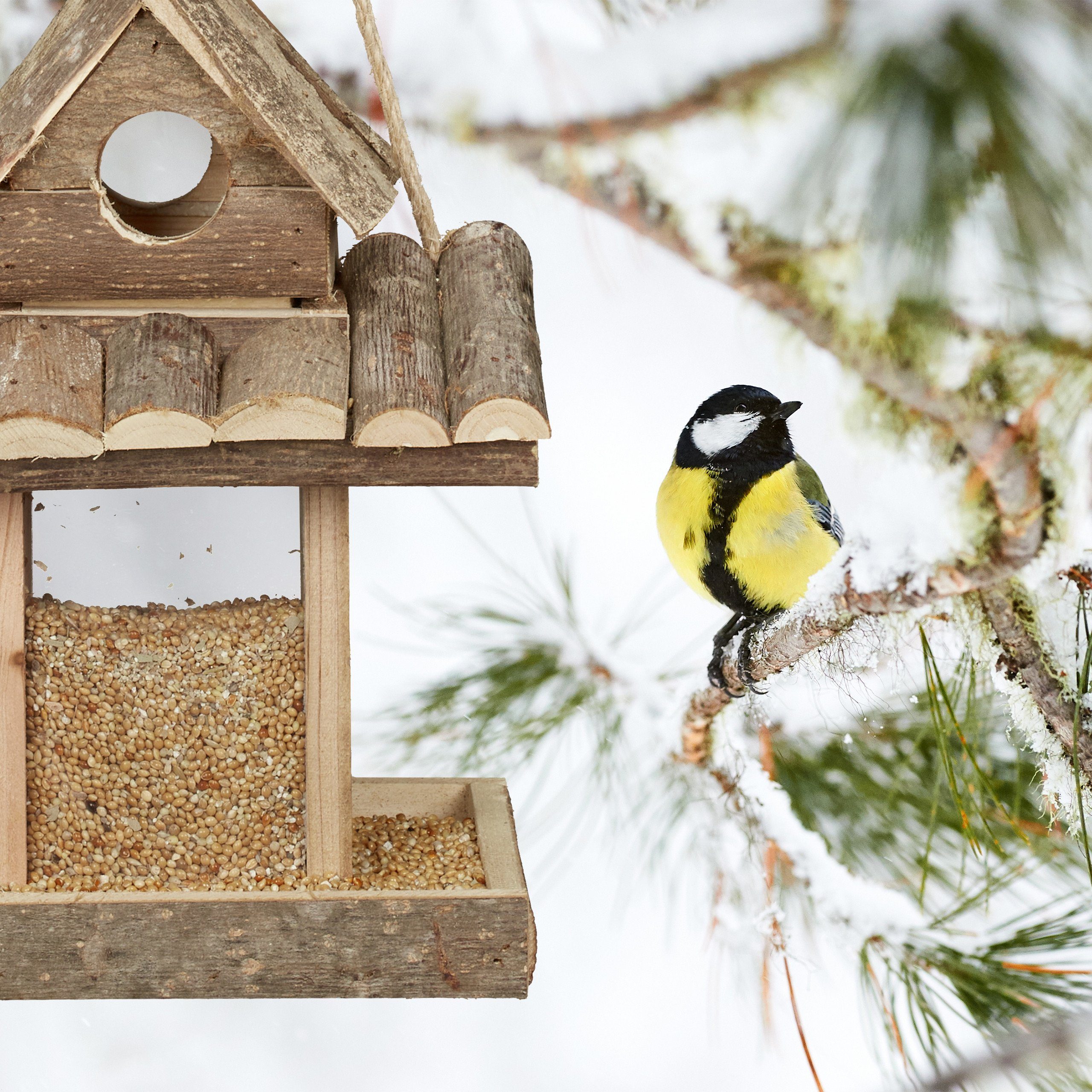 relaxdays Vogelhaus Vogelfutterhaus zum Aufhängen