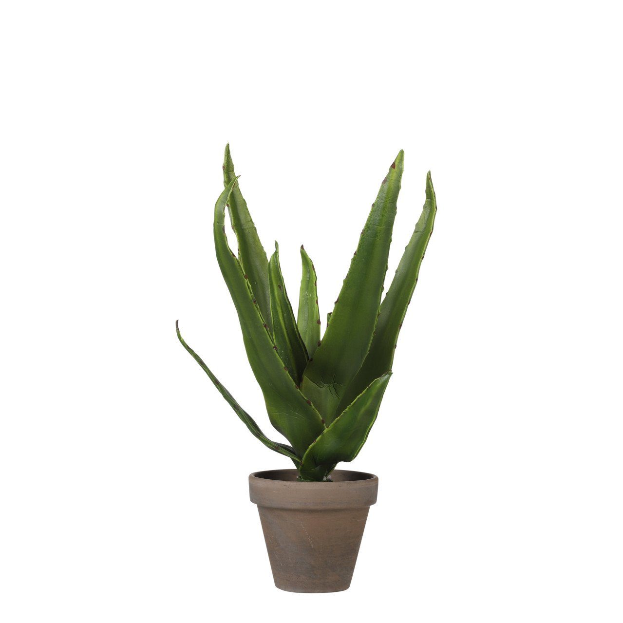 Kunstpflanze Mica Kunstpflanze Aloe Vera im Topf grün, 30 x 16