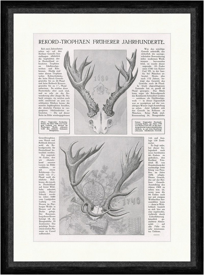 BillerAntik Kunstdruck Rekord-Trophäen Früherer Jahrhunderte Jagd Geweih Reh F_Vintage 00689, (1 St)