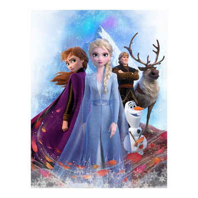 Kinderdecke Kuscheldecke / Schmusedecke Motiv Anna und Elsa aus Disney Frozen 130, Disney Frozen