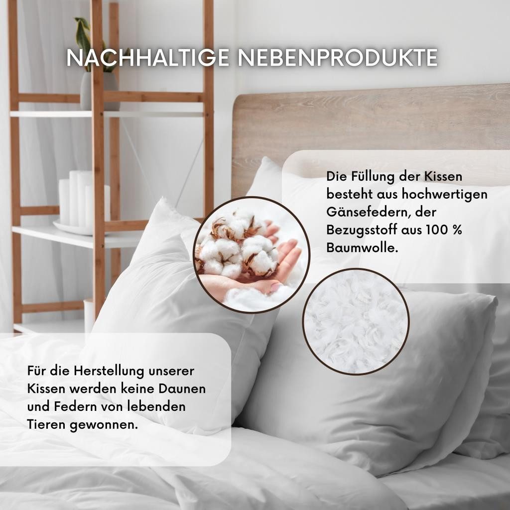 MSS e.K. Federkissen Federkissen 2er-Set, Füllung: 100% Gänsefedern, Bezug: günstig online kaufen
