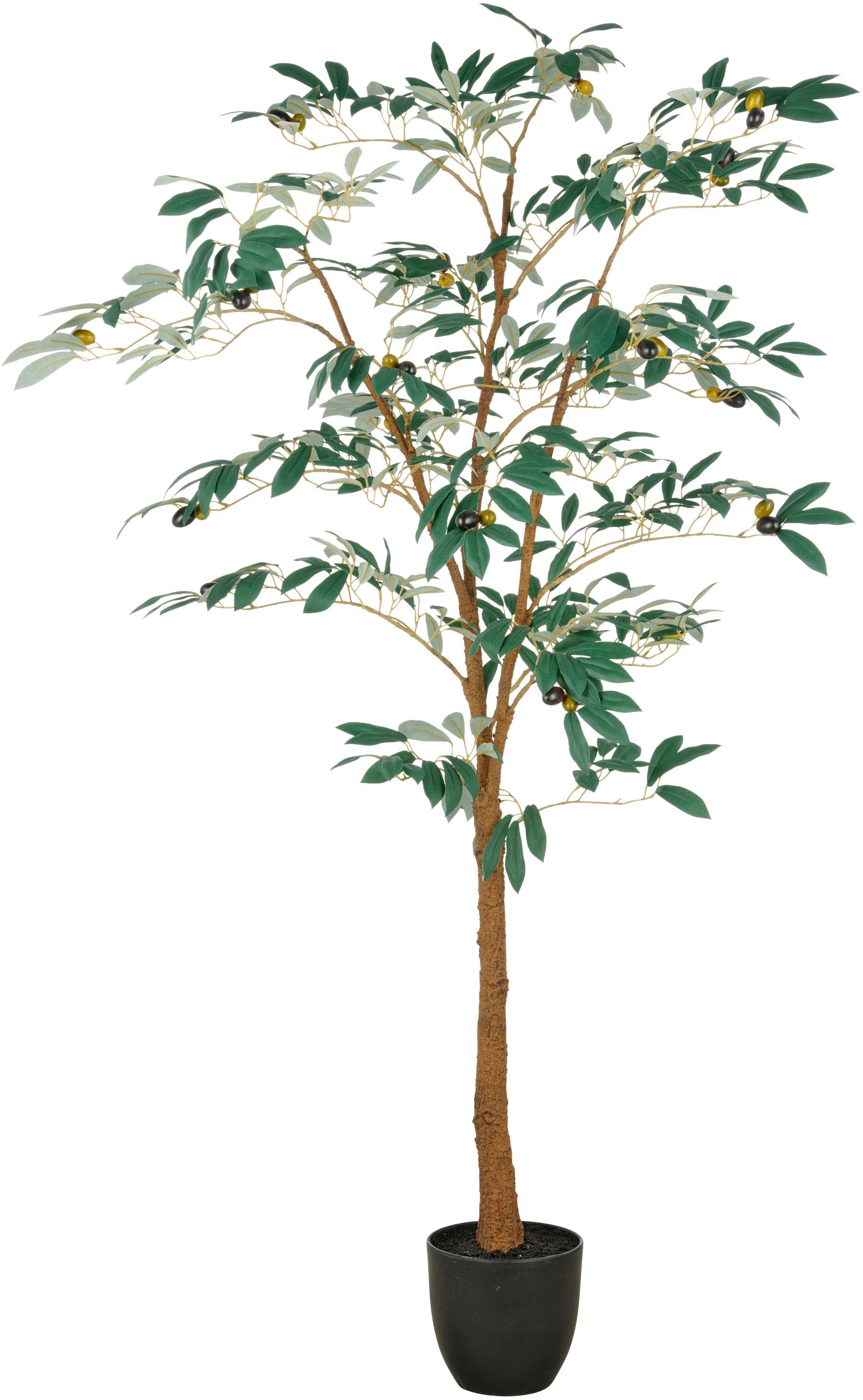 Kunstbaum Olive, Creativ green, Höhe 160 cm, mit detailgetreuer Gestaltung