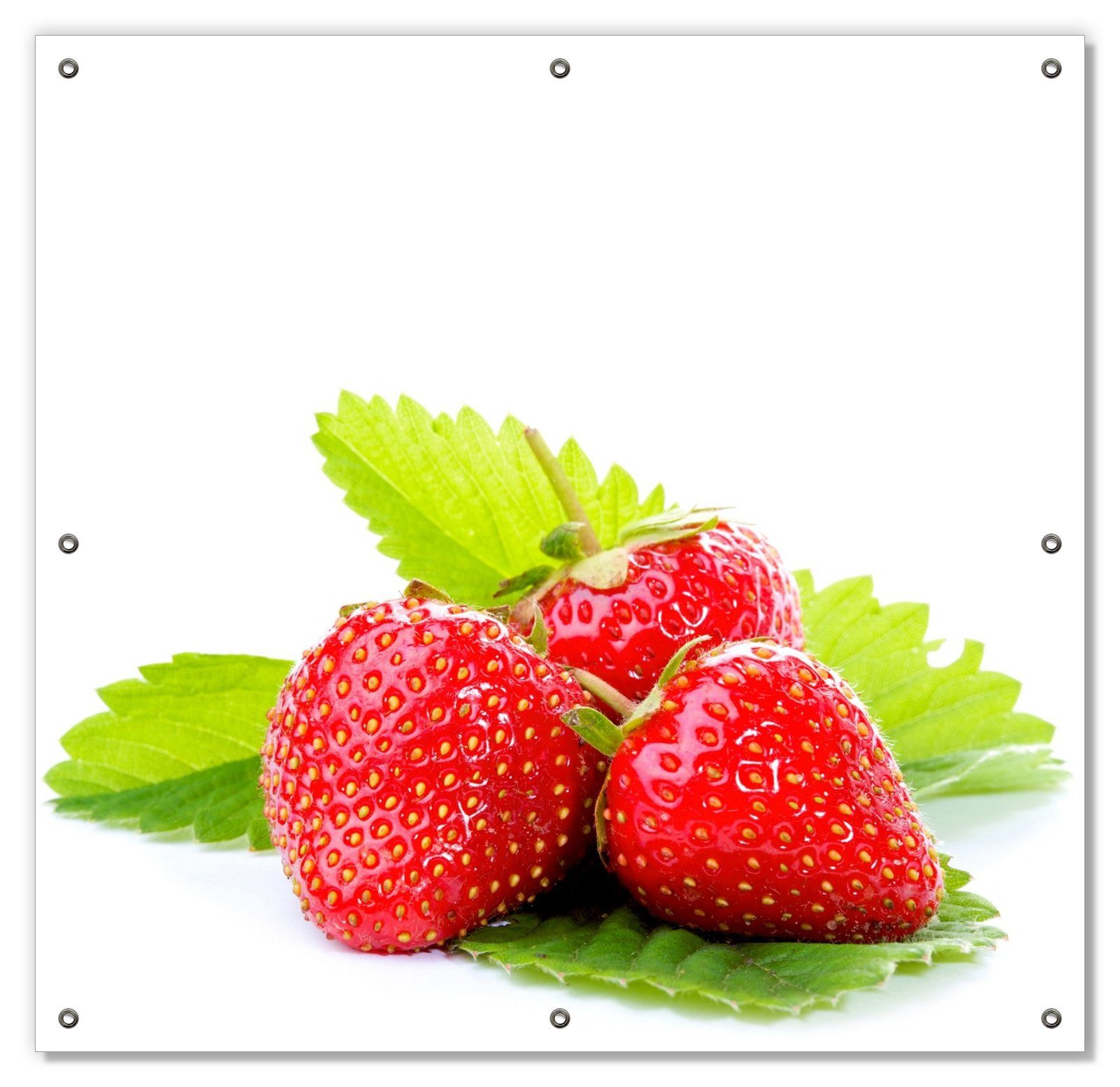 Sonnenschutz Frische rote Erdbeeren für die Küche, Wallario, blickdicht, mit Saugnäpfen, wiederablösbar und wiederverwendbar