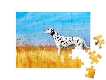 puzzleYOU Puzzle Schöner Dalmatiner auf einem Feld, 48 Puzzleteile, puzzleYOU-Kollektionen Hunde, Dalmatiner