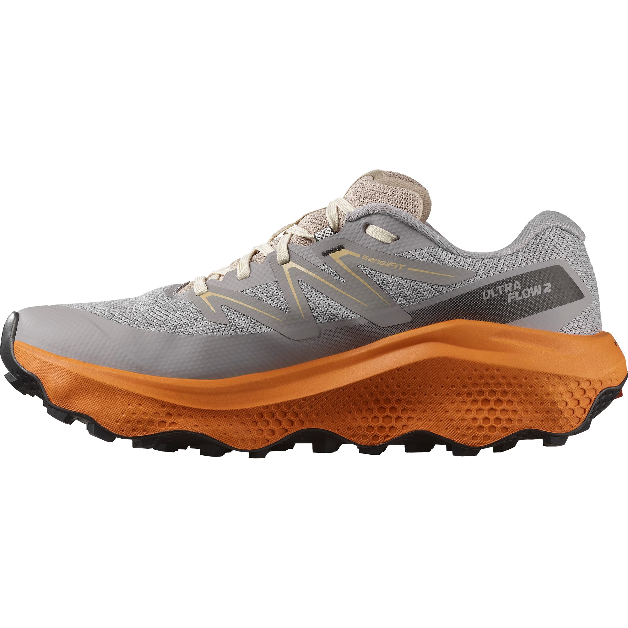 Salomon ULTRA FLOW 2 GORE-TEX Laufschuh günstig online kaufen