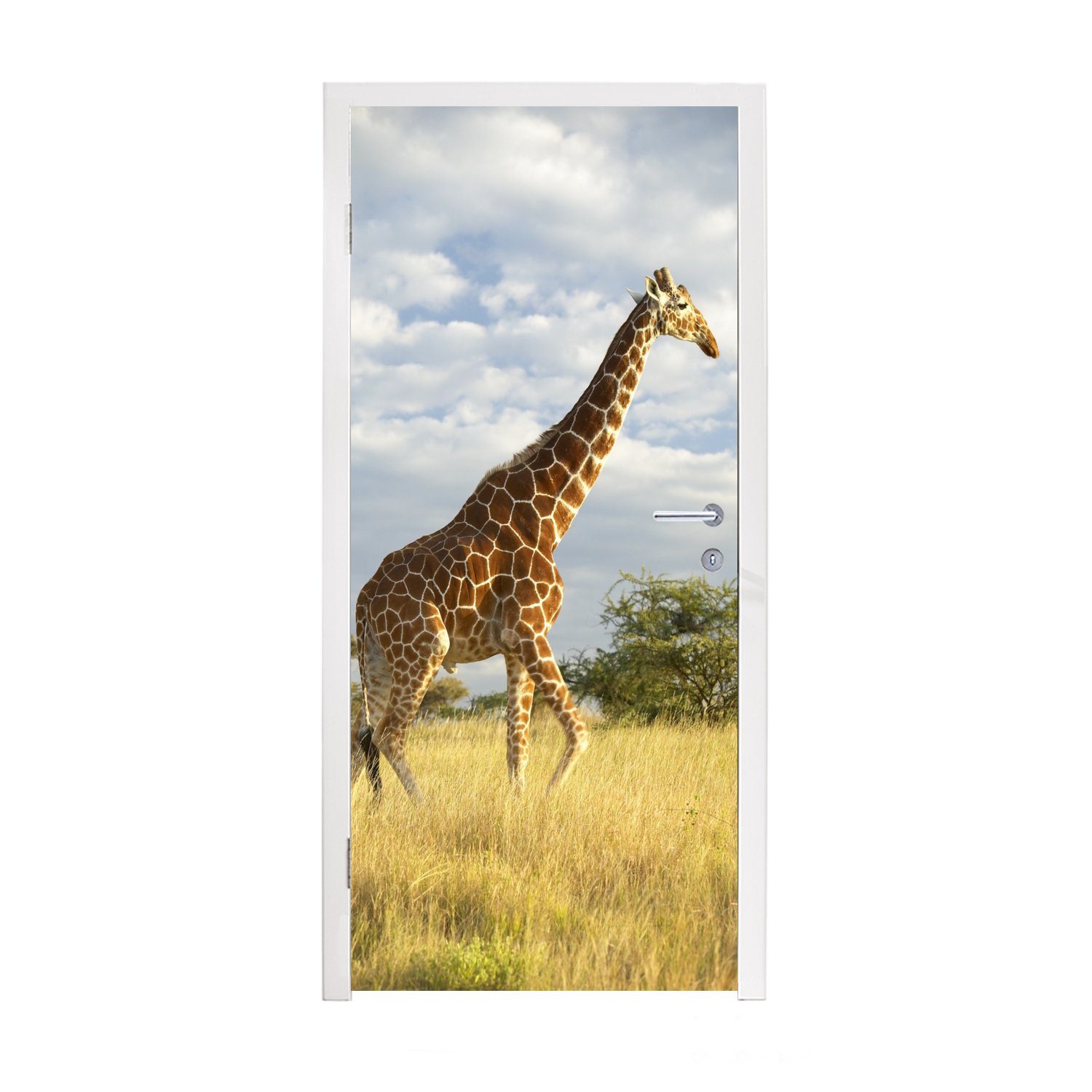 MuchoWow Türtapete Giraffe - Himmel - Gras, Matt, bedruckt, (1 St), Fototapete für Tür, Türaufkleber, 75x205 cm