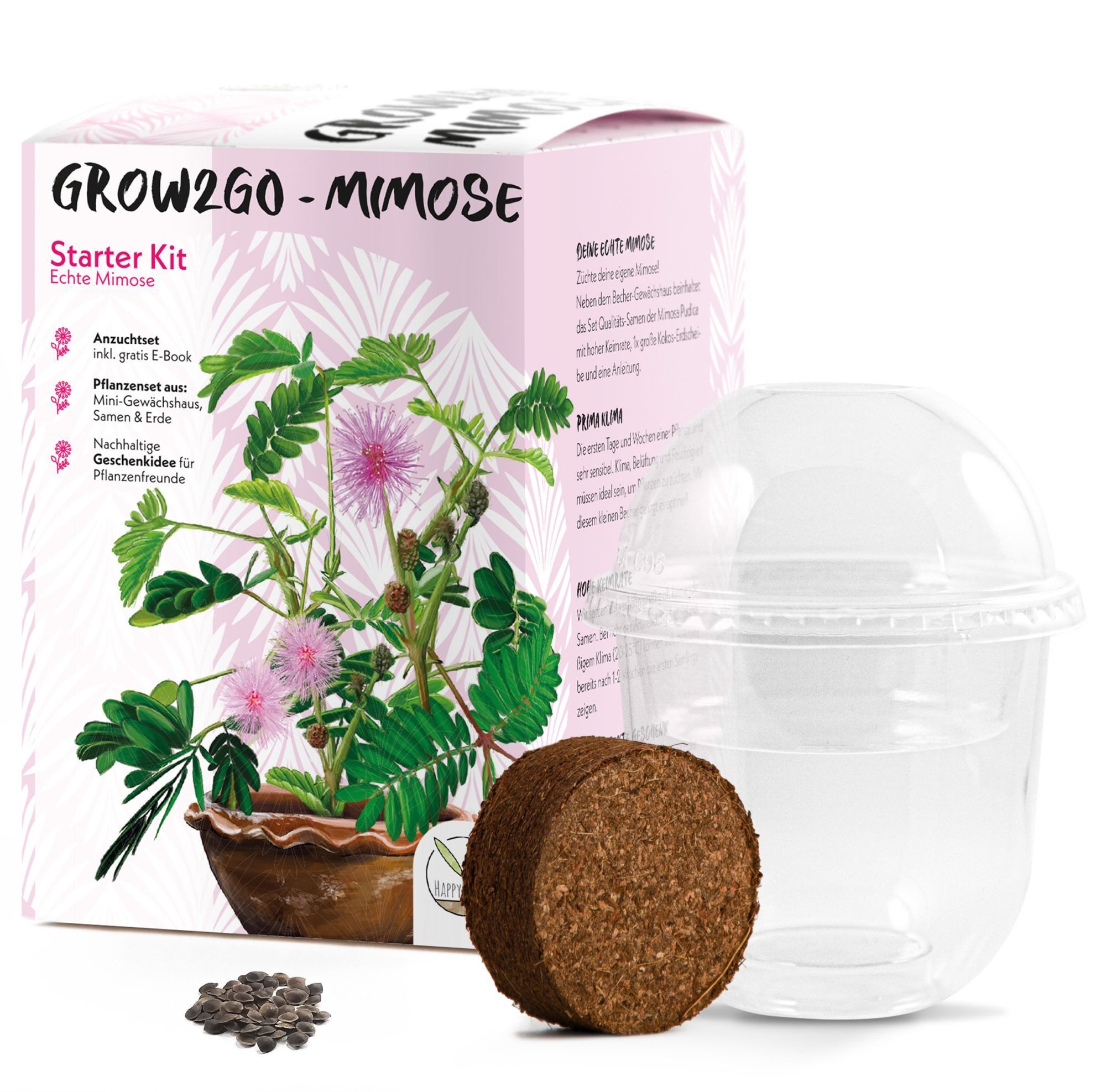 Blumensamen Mimose Anzuchtset - Pflanzset aus Mini-Gewächshaus, Samen & Erde