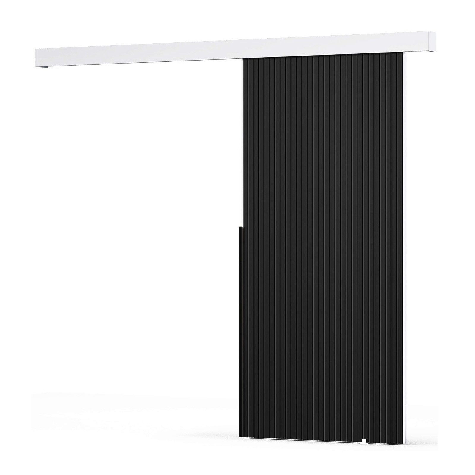 HAUSELEMENT Schiebetür RIBB 106 x 205, Schiebetürsystem SoftClose Lamellen Laufschiene Schwebetür 106/100 cm