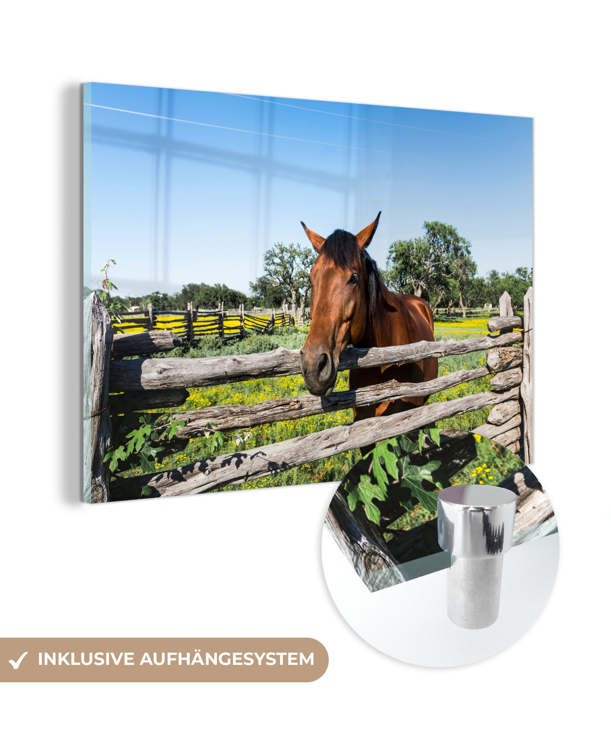 MuchoWow Acrylglasbild Pferde - Tiere - Zaun, (1 St), Acrylglasbilder Wohnzimmer & Schlafzimmer