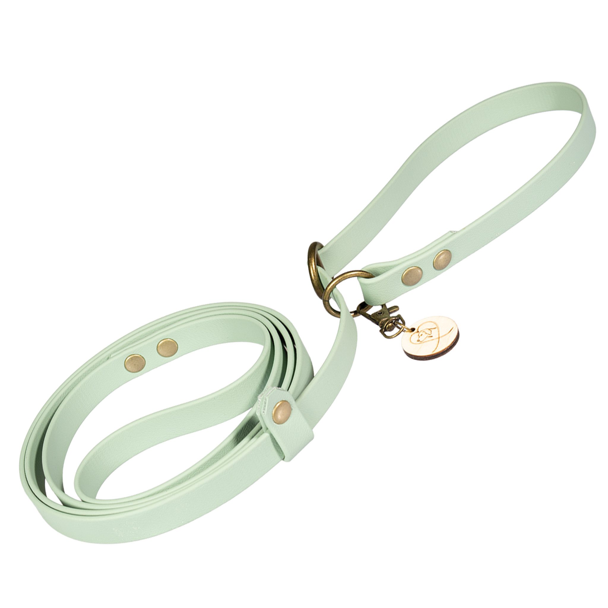 Hundeleine Retrieverleine BioThane® - mit integriertem Halsband - Handarbeit