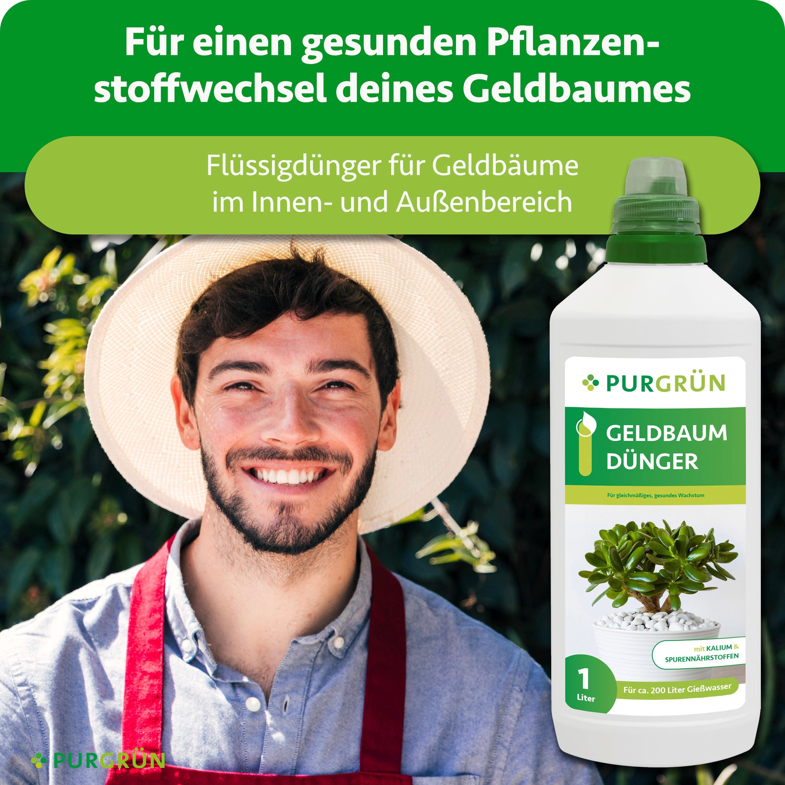 Purgrün Universaldünger Geldbaum Dünger, NPK 3+5+7, Kalium gegen Trockenstr günstig online kaufen