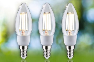 Paulmann LED-Leuchtmittel Eco-Line 3er Pack Kerze 525lm 2,5W 3000K klar 230V, Warmweiß