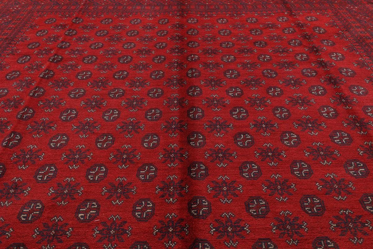 Orientteppich Afghan Akhche 294x389 rechteckig, Höhe: 6 mm Orientteppich, Handgeknüpfter Trading, Nain