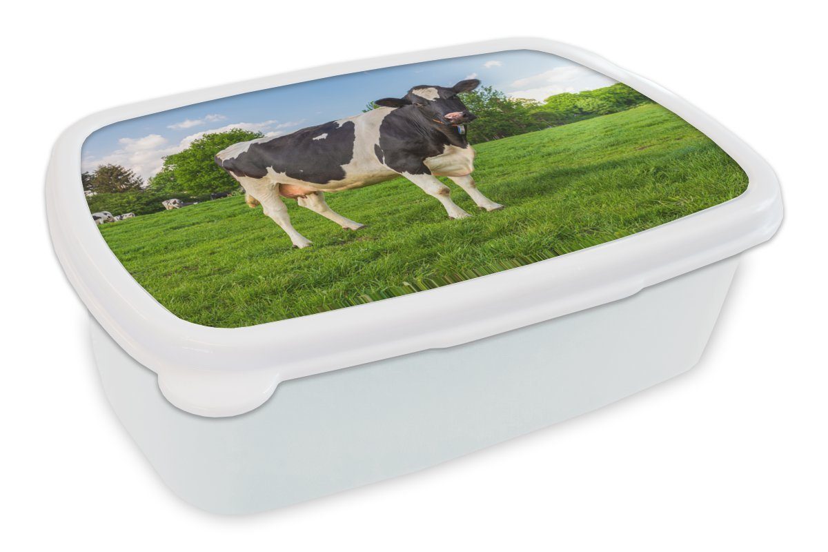 - Lunchbox Kuh Brotbox weiß Kunststoff, Jungs Kinder Tiere, Brotdose, Erwachsene, Mädchen Gras MuchoWow für und und - (2-tlg), für