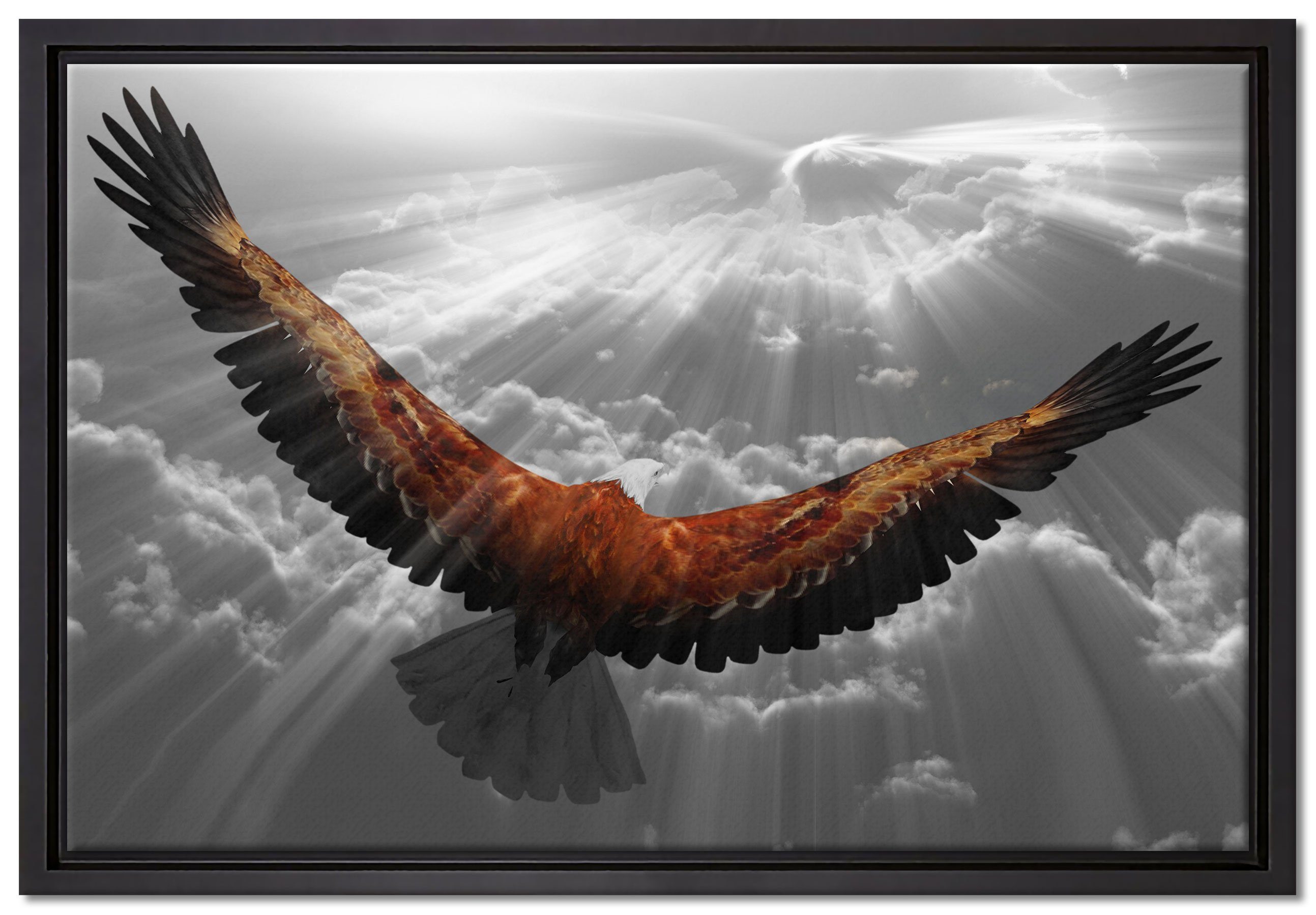 Leinwandbild bespannt, den Zackenaufhänger einem in anmutiger Wanddekoration Adler Leinwandbild über gefasst, Schattenfugen-Bilderrahmen Pixxprint St), inkl. Wolken, fertig (1