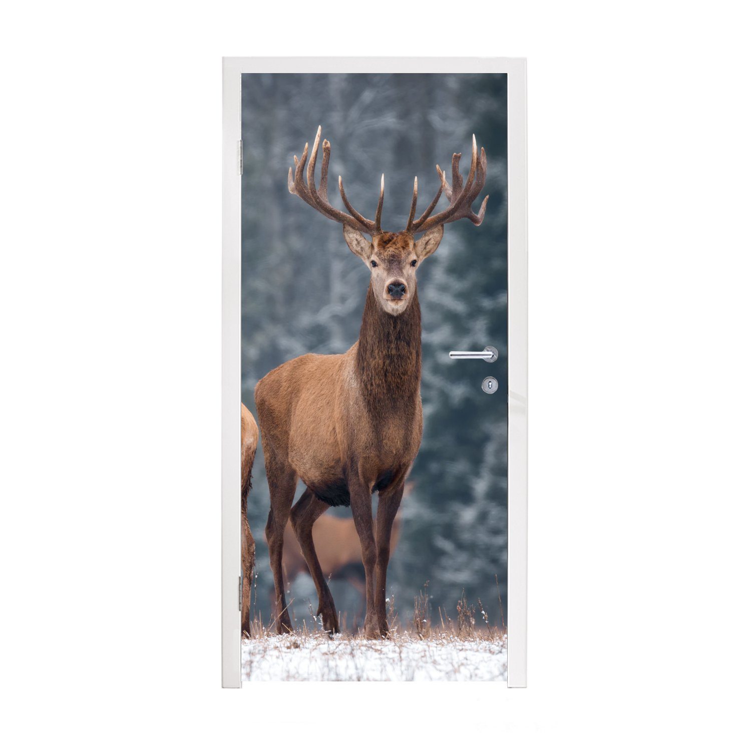 MuchoWow Türtapete Waldtiere - Hirsche - Landschaft - Winter - Schnee - Natur, Matt, bedruckt, (1 St), Fototapete für Tür, Türaufkleber, 75x205 cm | Türtapeten
