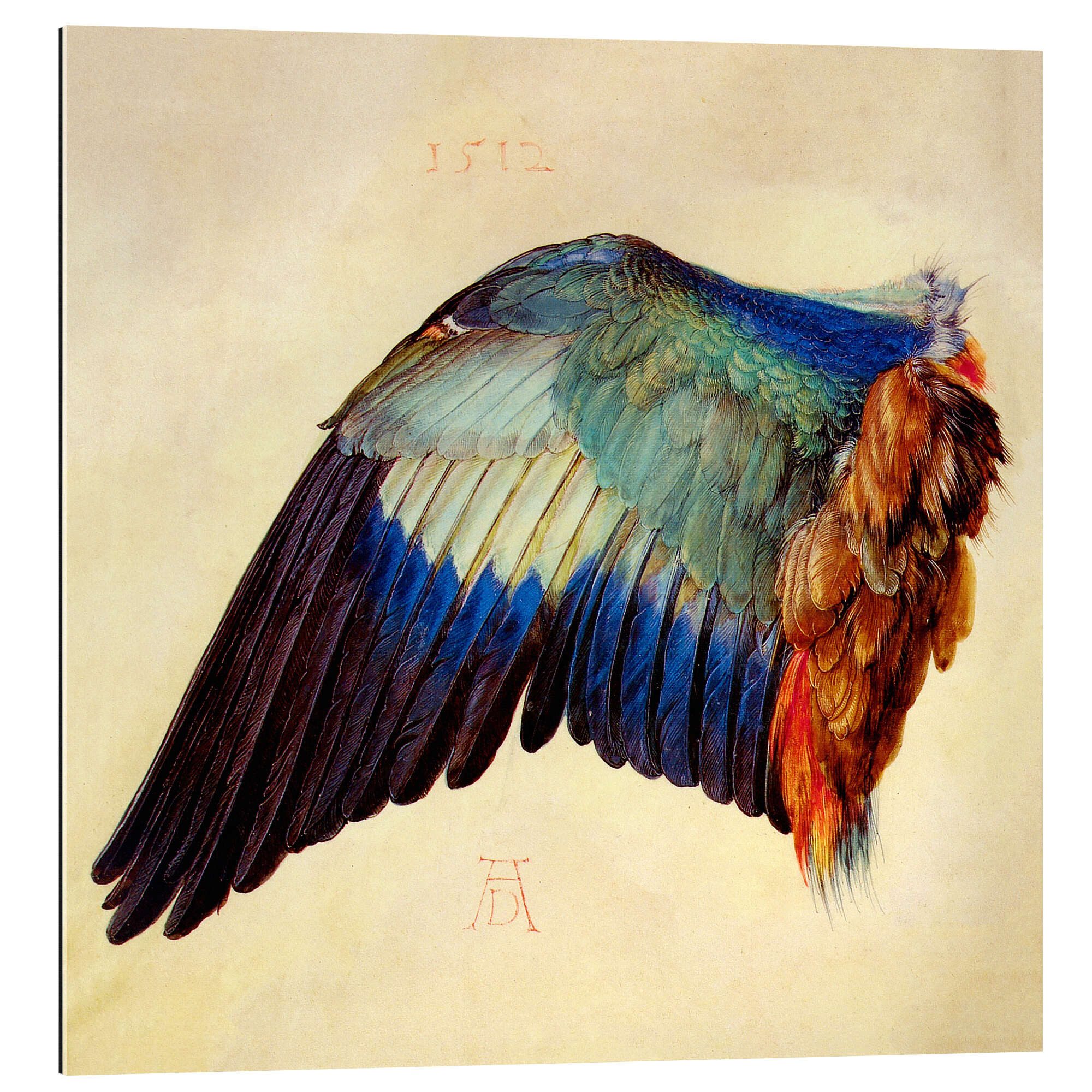XXL-Wandbild Albrecht Dürer