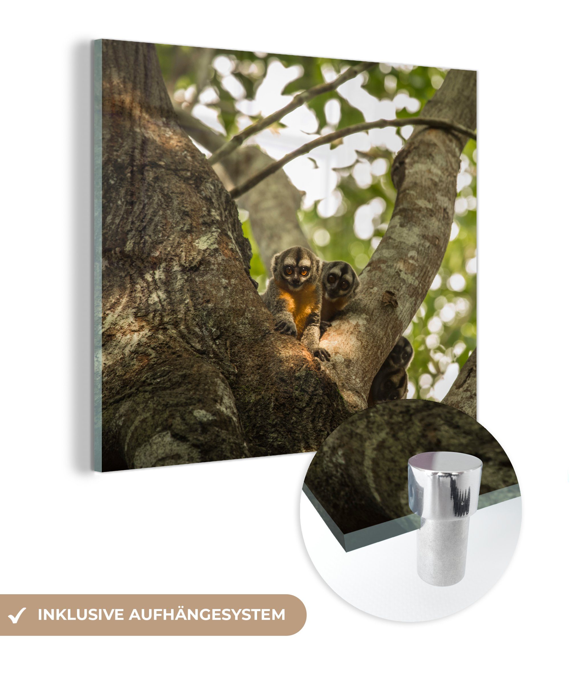 MuchoWow Acrylglasbild Kleine Tiere in einem Baum, (1 St), Glasbilder - Bilder auf Glas Wandbild - Foto auf Glas - Wanddekoration