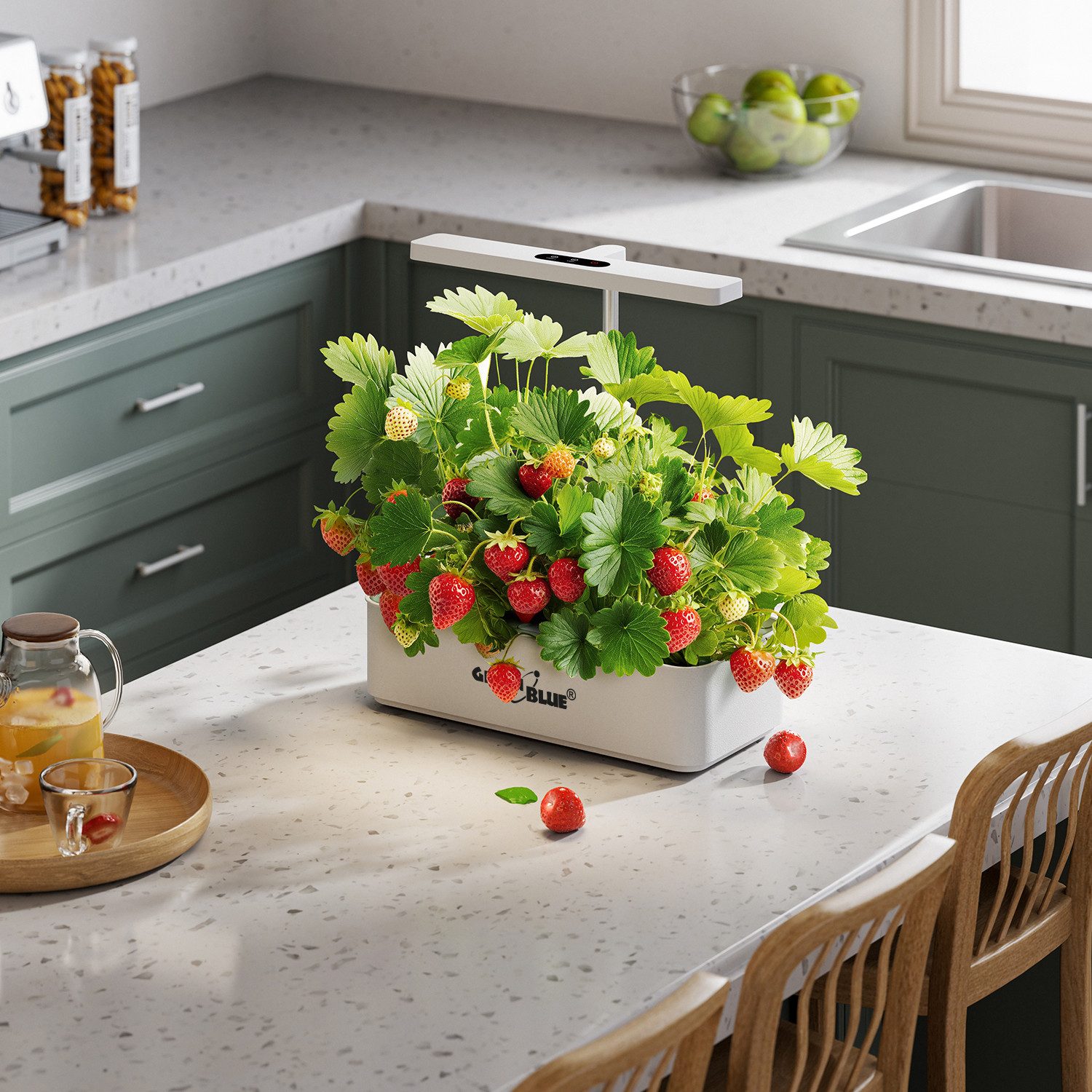 GreenBlue Wasserhyazinthentopf GB133 SMART Blumentopf für 12 Pflanzen 4L LE günstig online kaufen