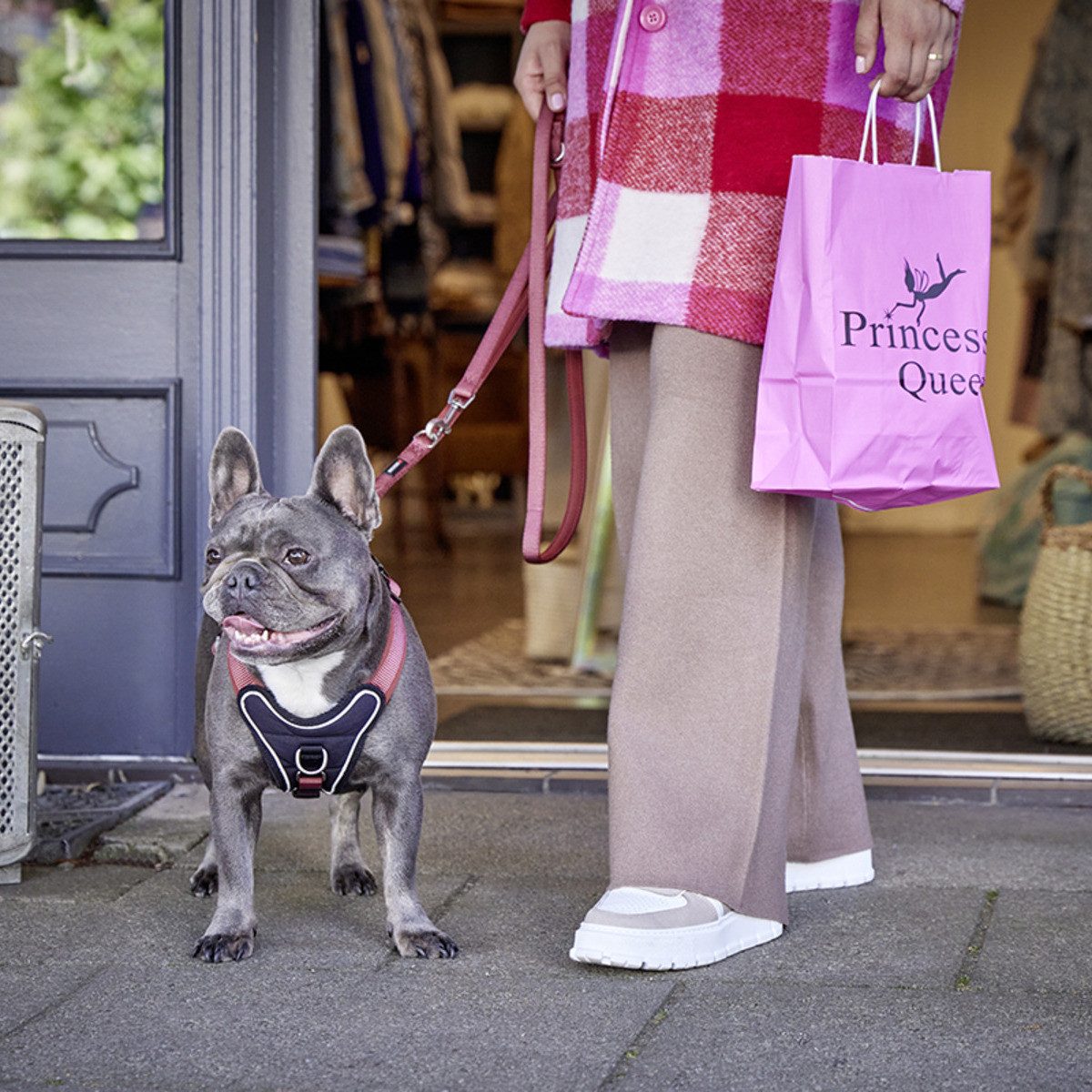 Wolters Hunde-Geschirr Geschirr Professional Comfort rost rot günstig online kaufen