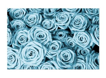 wandmotiv24 Leinwandbild Blaues Rosenfeld Blüte, Blumen und Pflanzen (1 St), Wandbild, Wanddeko, Leinwandbilder in versch. Größen