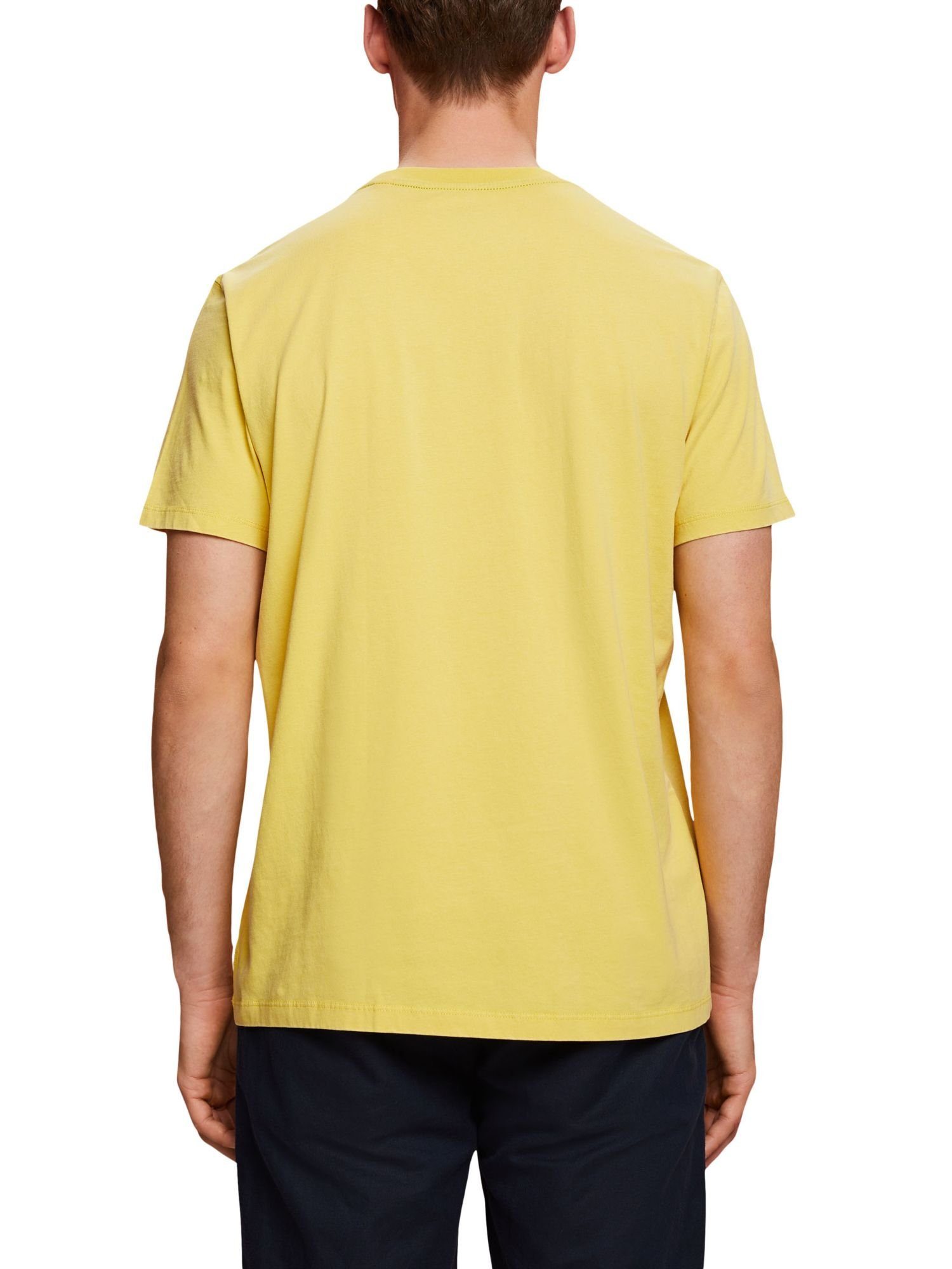 Esprit T-Shirt Jersey-T-Shirt, Baumwolle YELLOW DUSTY (1-tlg) 100