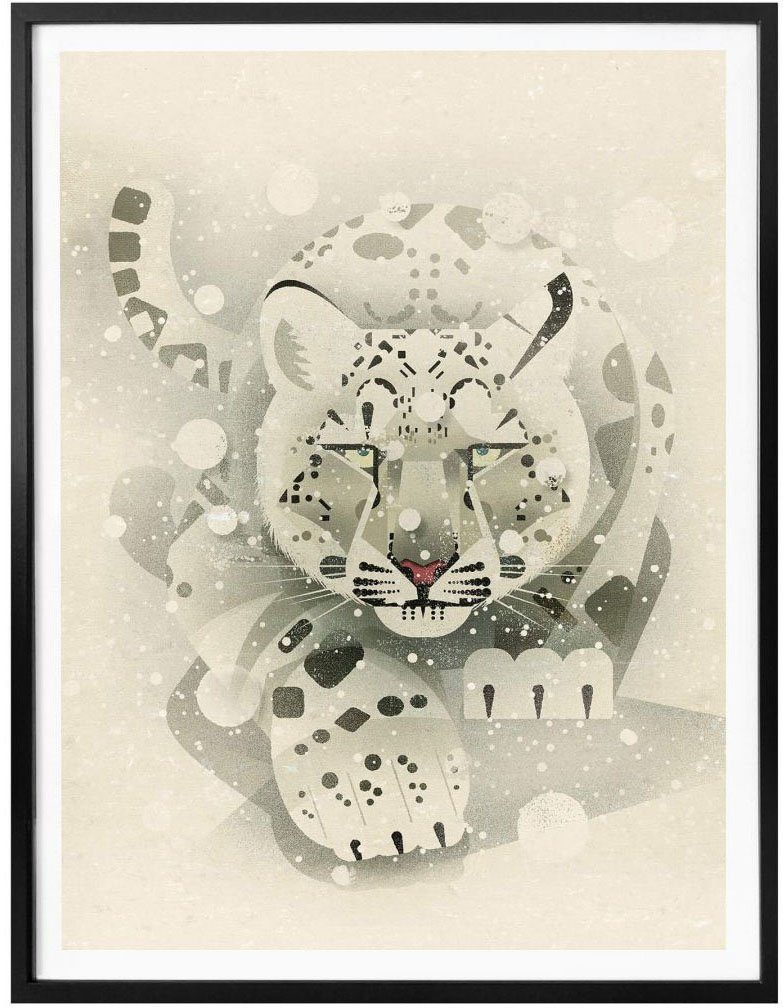 Wall-Art Poster Schneeleopard, Tiere (1 St), Poster, Wandbild, Bild,  Wandposter | Poster