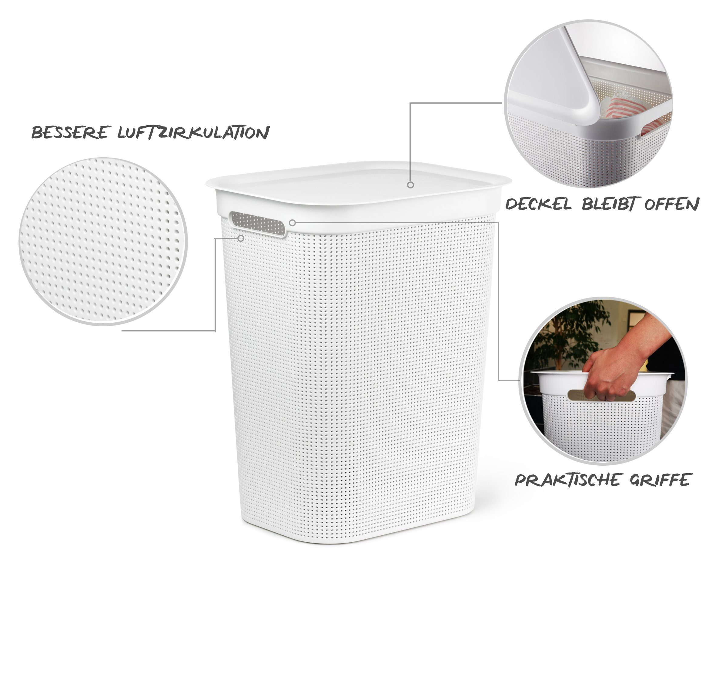 Brisen ermöglicht Luftzirkulation 50l Löcher (PP) Deckel grün Griffen, den Seiten Wäschebox Wäschesammler innerhalb Wäschekorb BPA-frei, der an ROTHO Kunststoff Mistletoe mit und 2