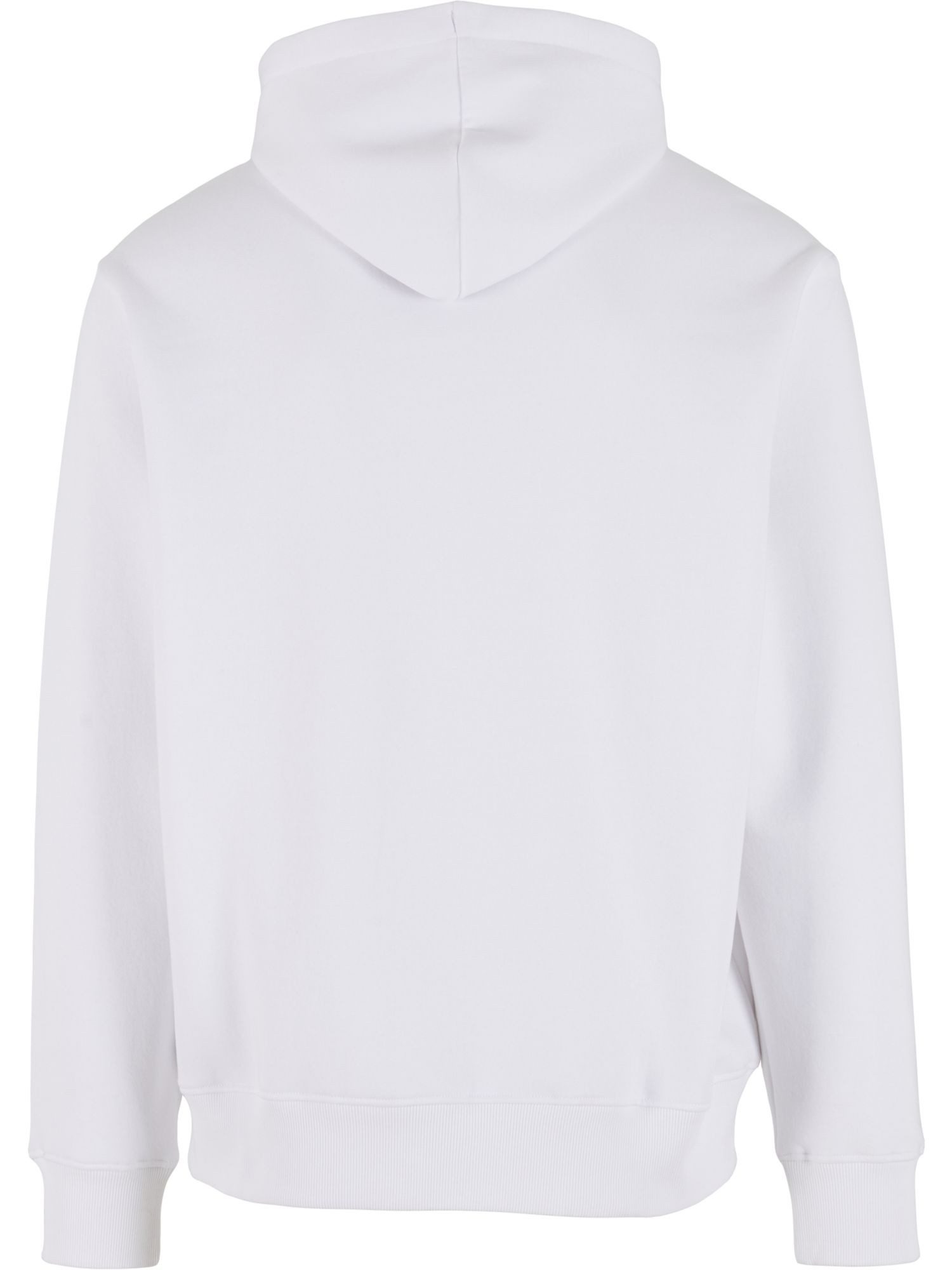 Bruno Banani Hoodie EWING günstig online kaufen