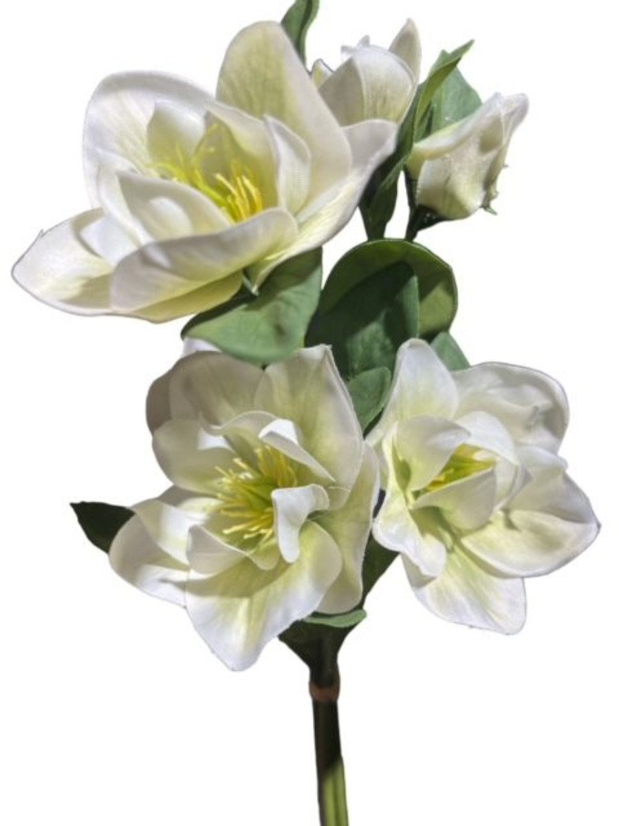 Kunstblume 2x Künstliche Christrosenbund x3 L35cm Christrose creme/grün, fi günstig online kaufen