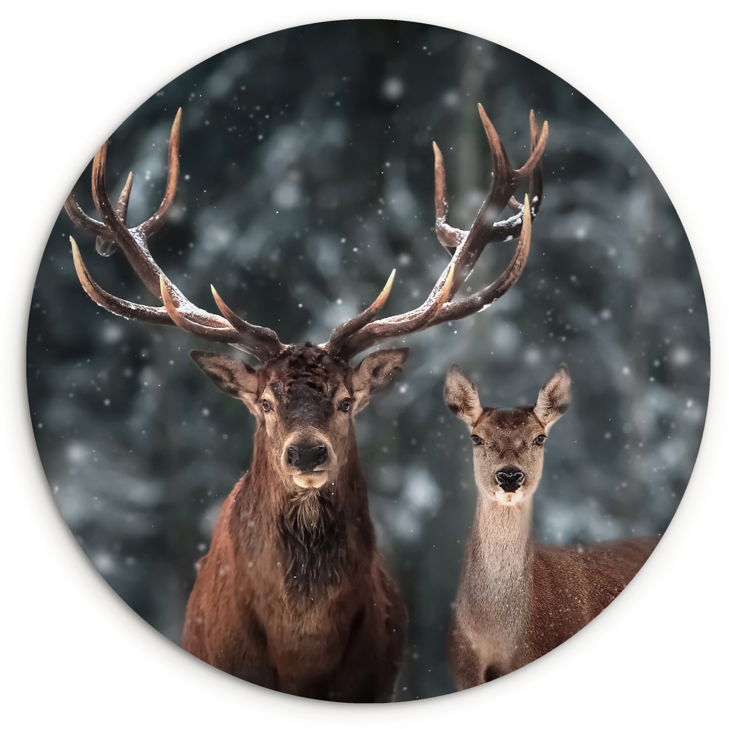 MuchoWow Gemälde Hirsche - Tiere - Winter - Geweih - Schnee - Natur, Fotodruck (1 St), Kreis Wanddekoration, Rundes Wandbild, 30x30 cm