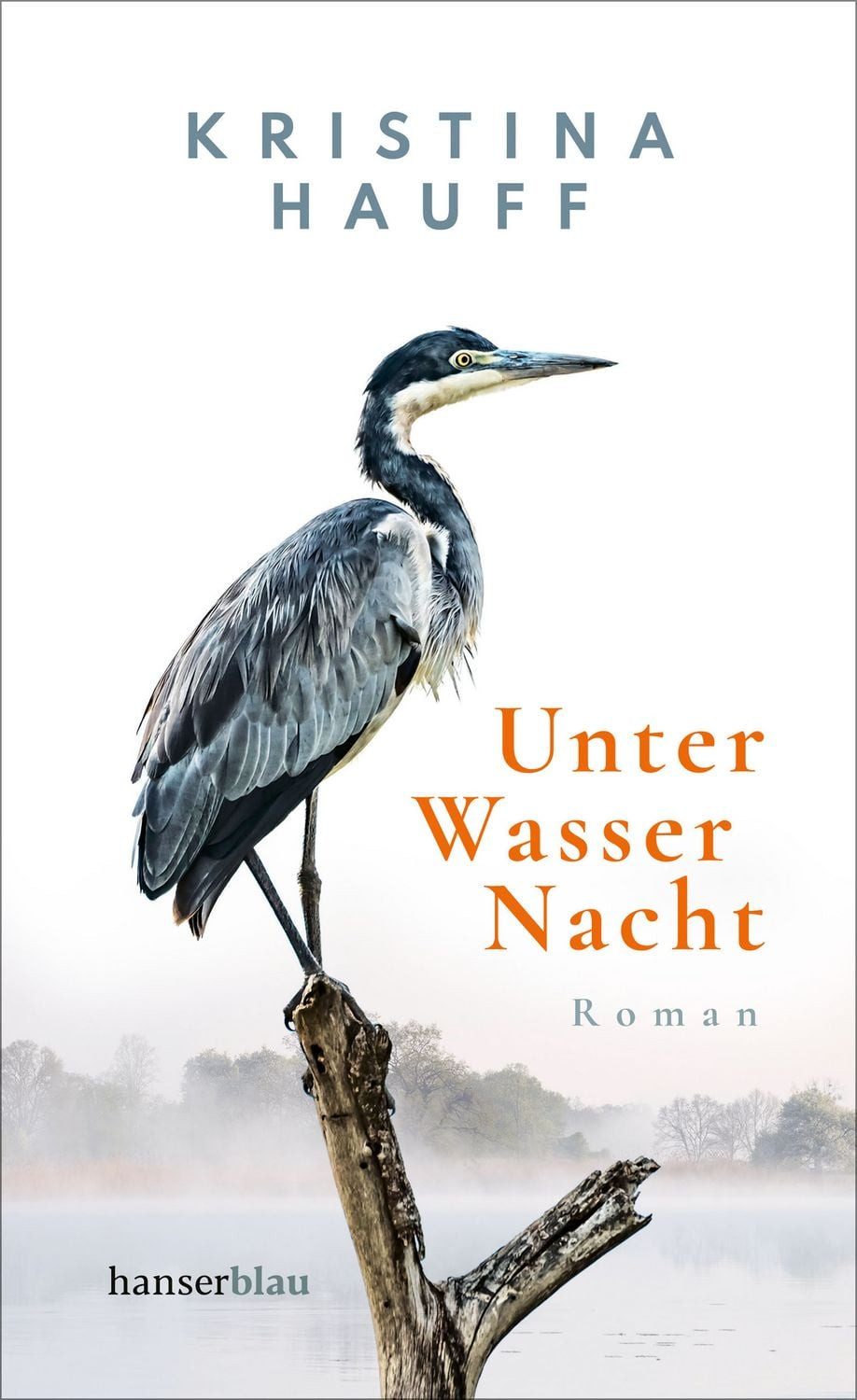 Unter Wasser Nacht / Kristina Hauff