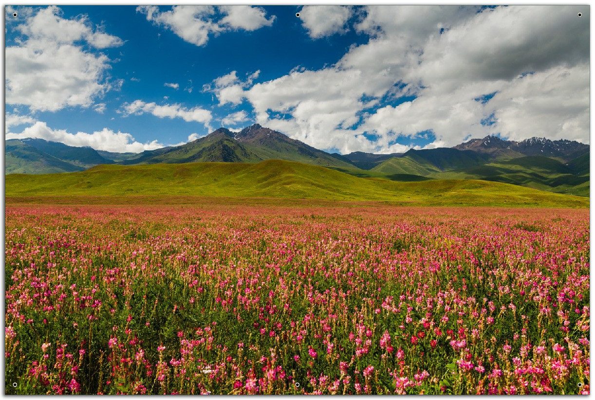 Wallario Sichtschutzzaunmatten Berglandschaft im Sommer